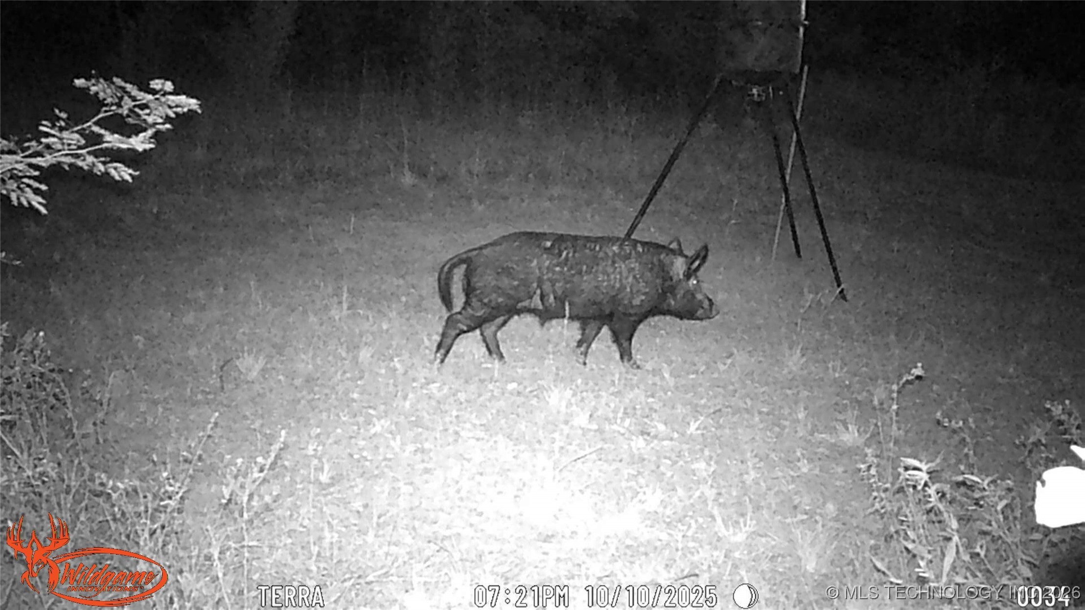 21506 E County Road 1190 D Property Photo 21