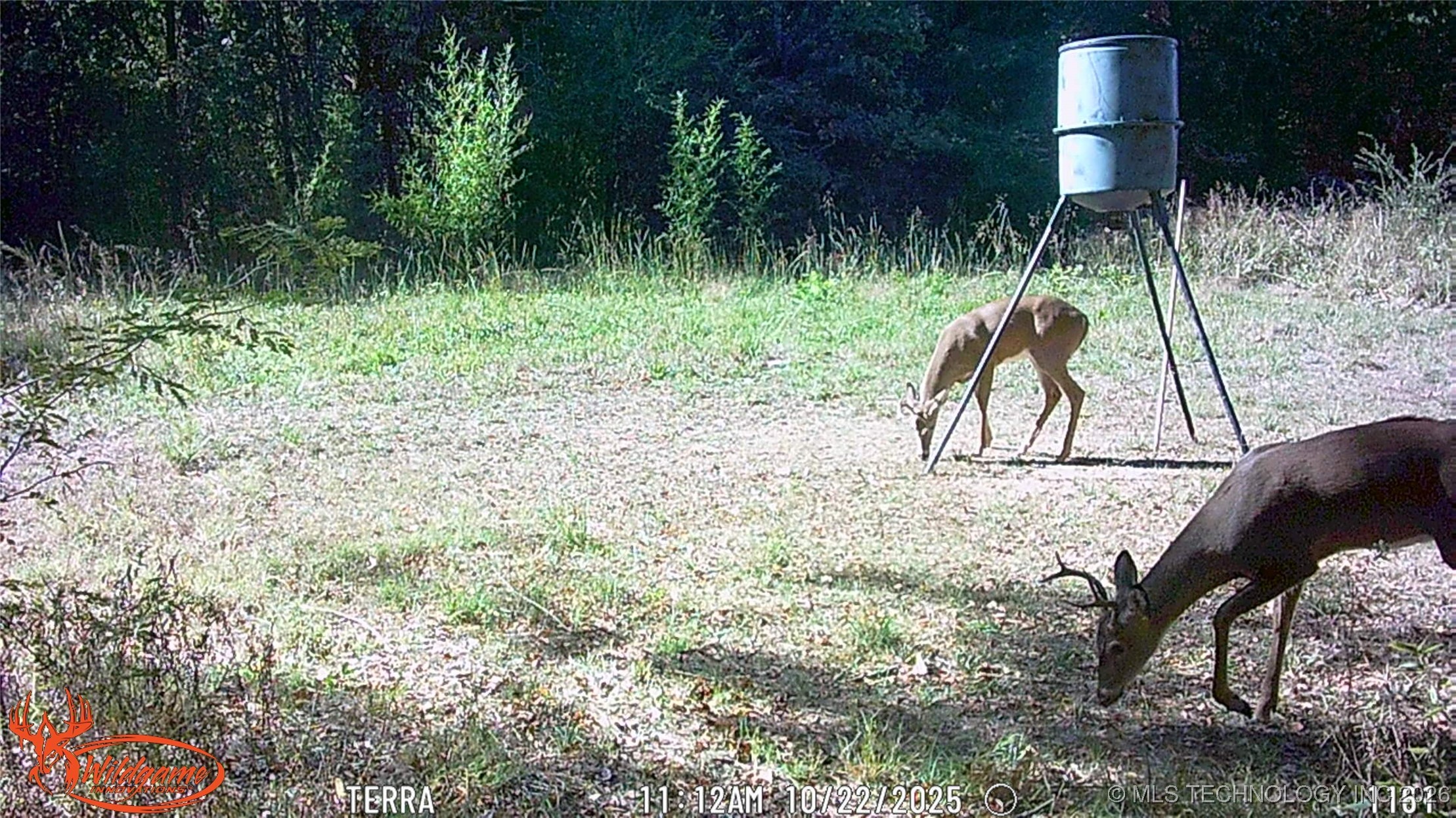 21506 E County Road 1190 D Property Photo 24