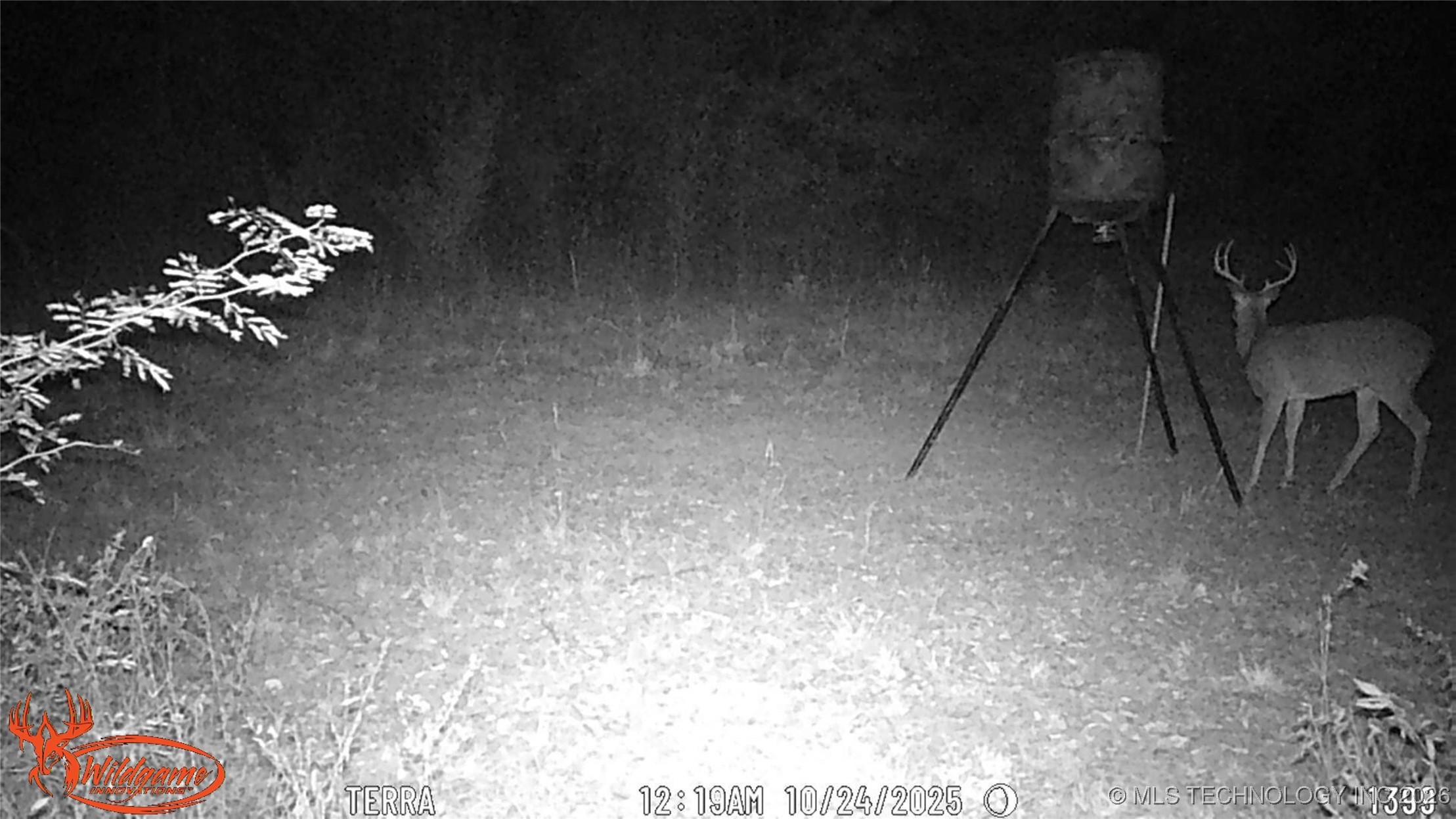 21506 E County Road 1190 D Property Photo 25