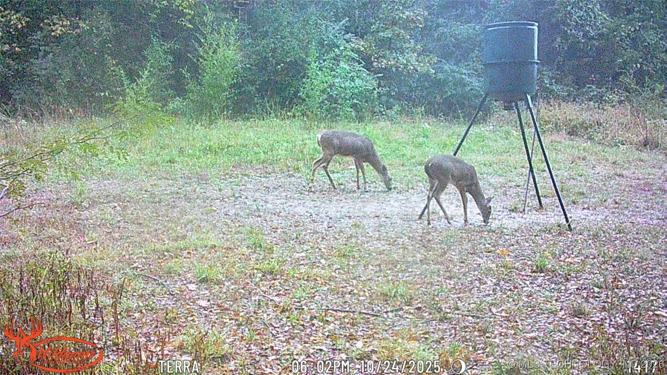21506 E County Road 1190 D Property Photo 27