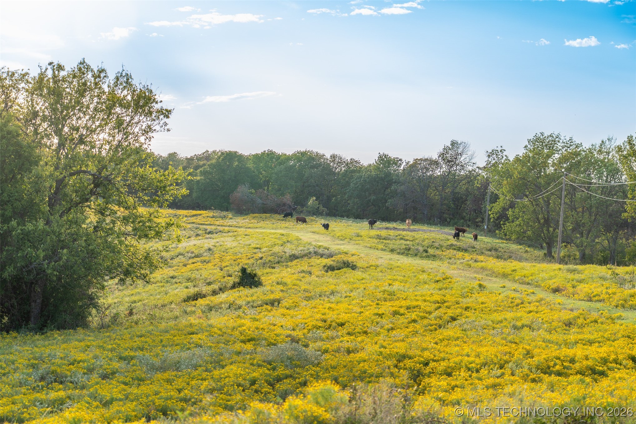 394591 W 3350 Road Property Photo 19