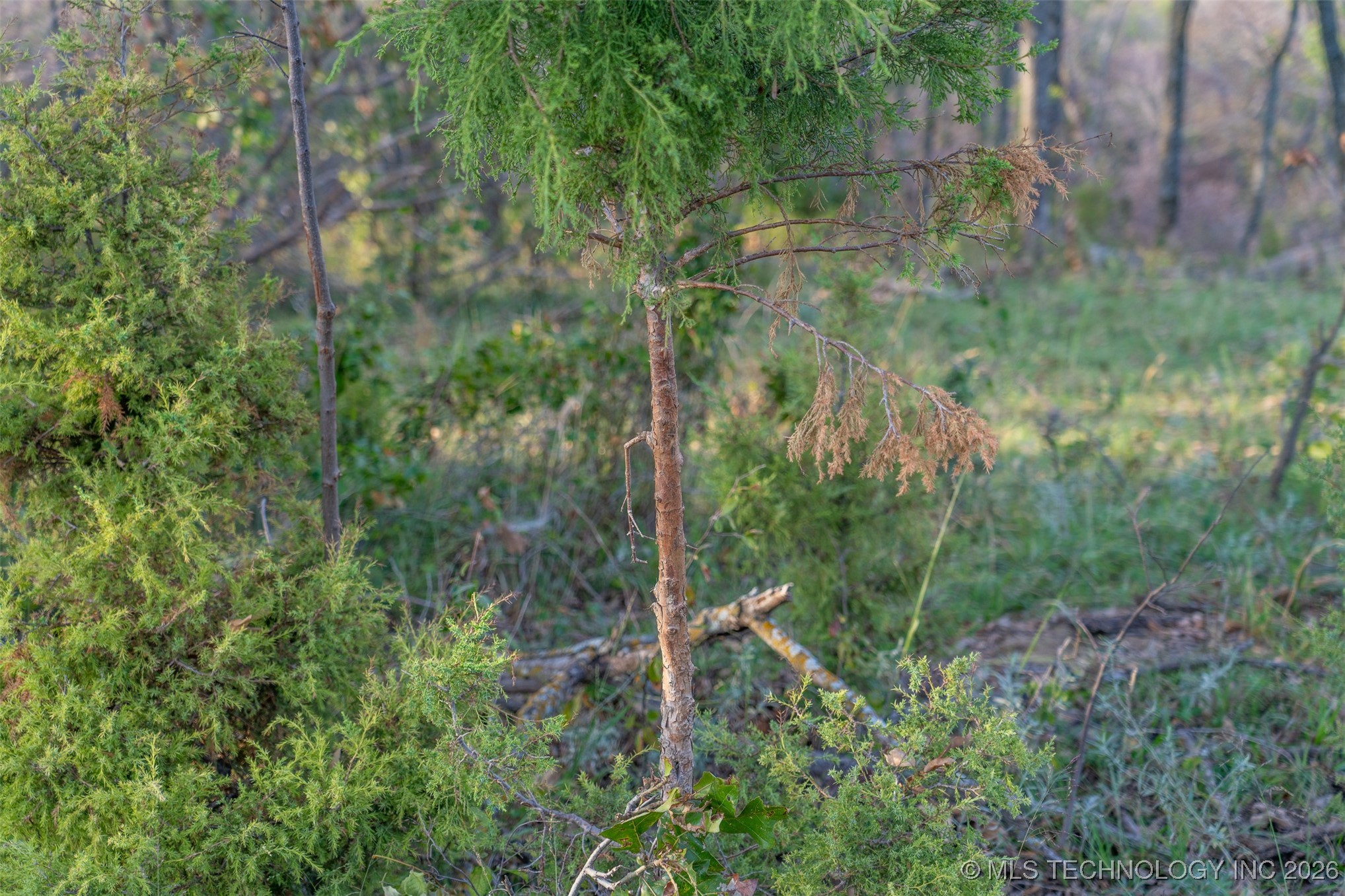 394591 W 3350 Road Property Photo 21