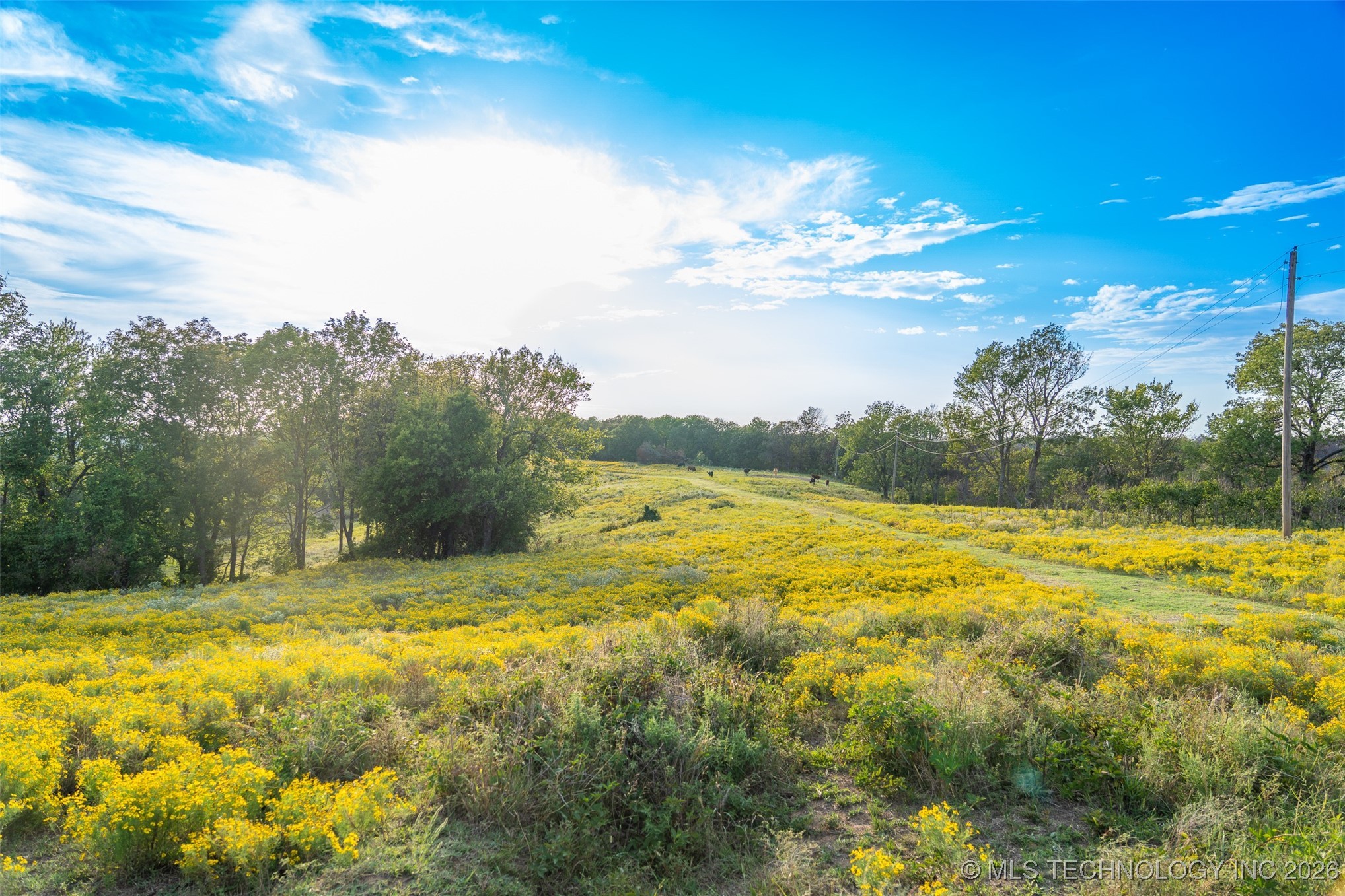 394591 W 3350 Road Property Photo 39