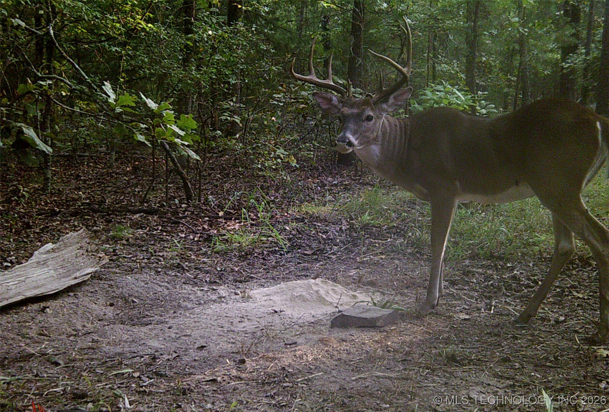 187602 N 4138 Road Property Photo 51