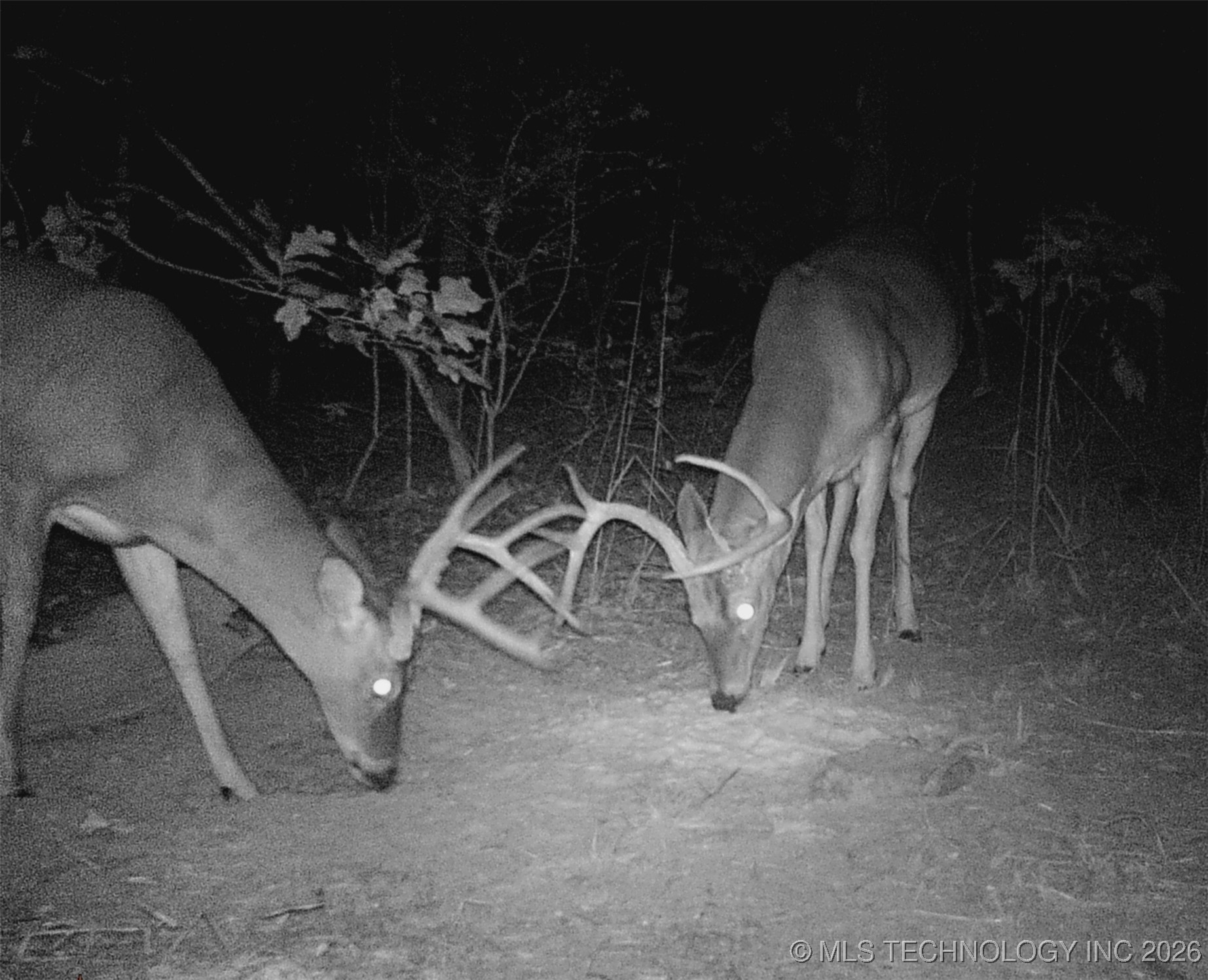 187602 N 4138 Road Property Photo 52