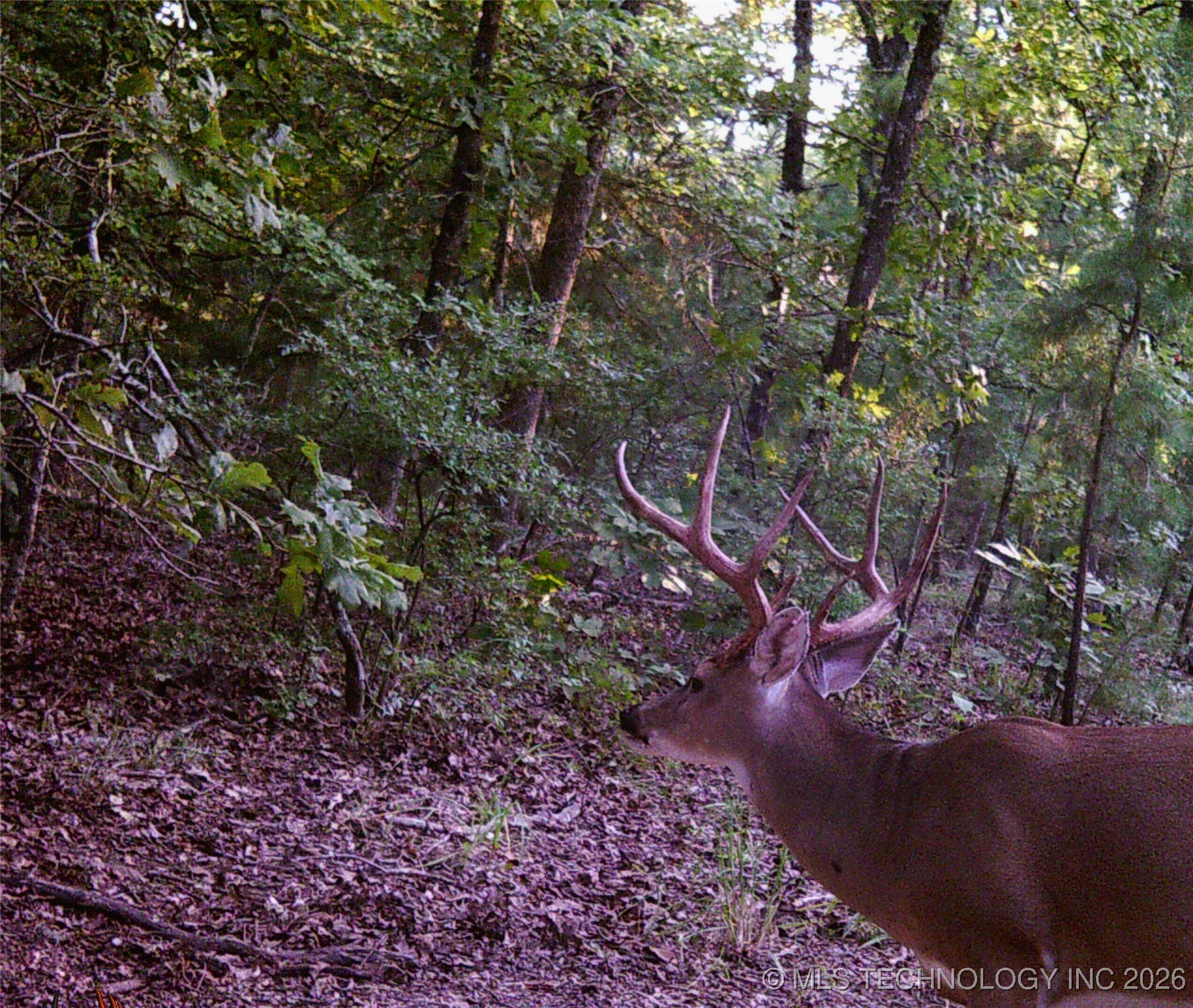 187602 N 4138 Road Property Photo 53