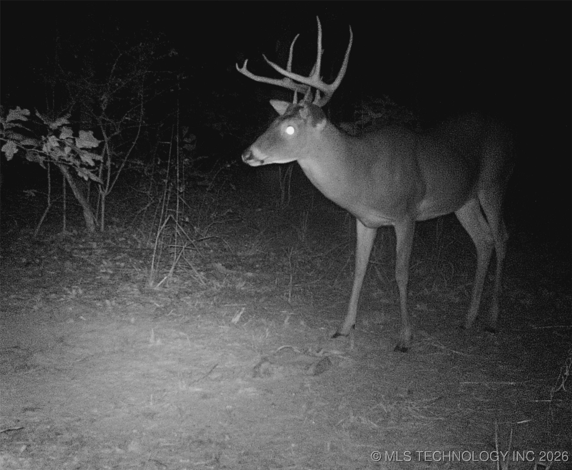 187602 N 4138 Road Property Photo 54