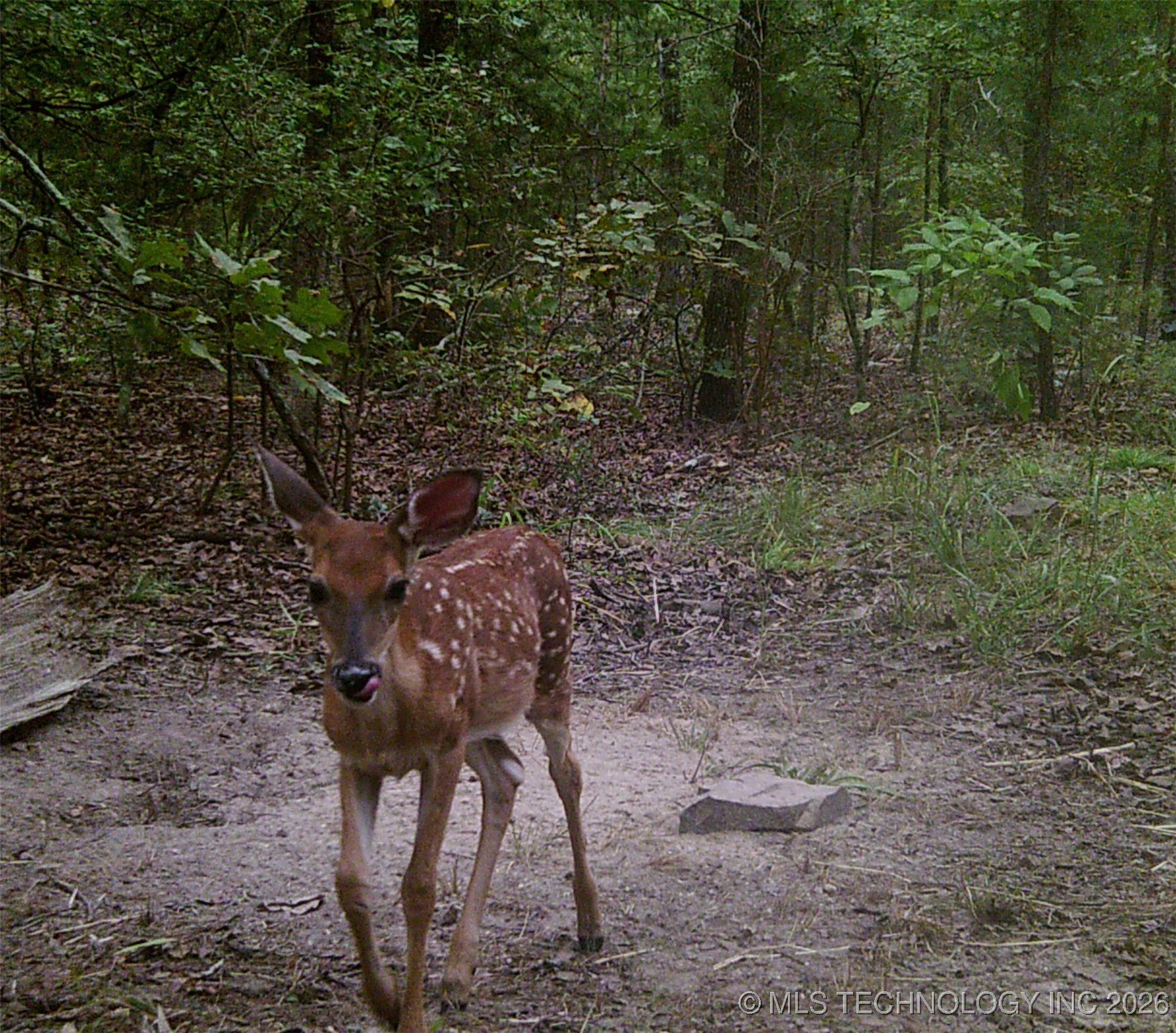 187602 N 4138 Road Property Photo 55