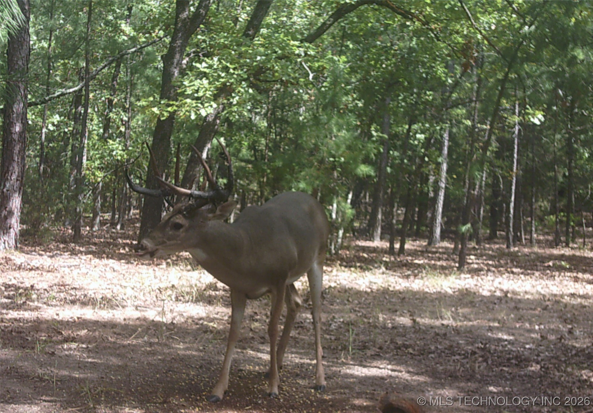 187602 N 4138 Road Property Photo 56