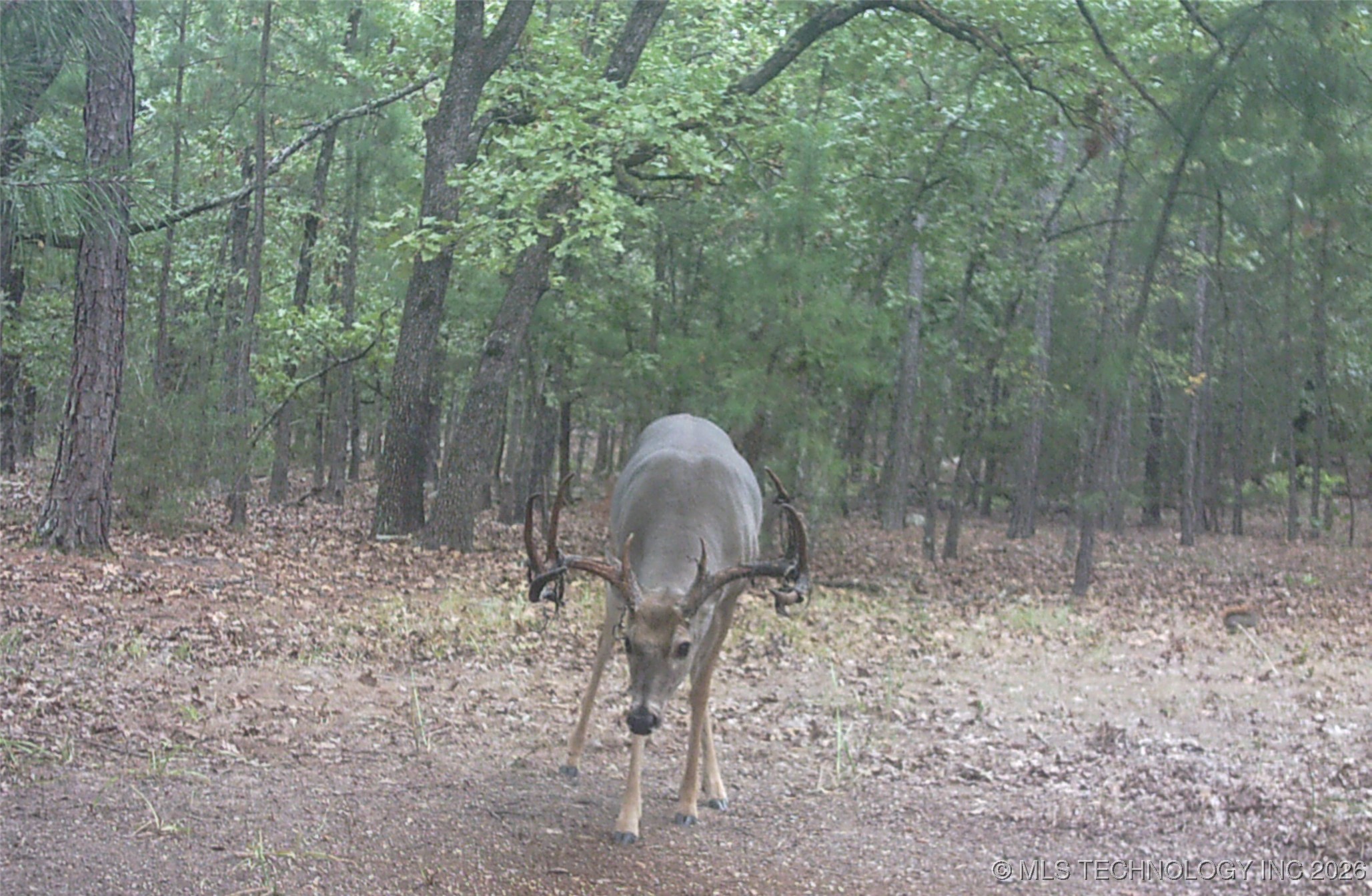 187602 N 4138 Road Property Photo 57