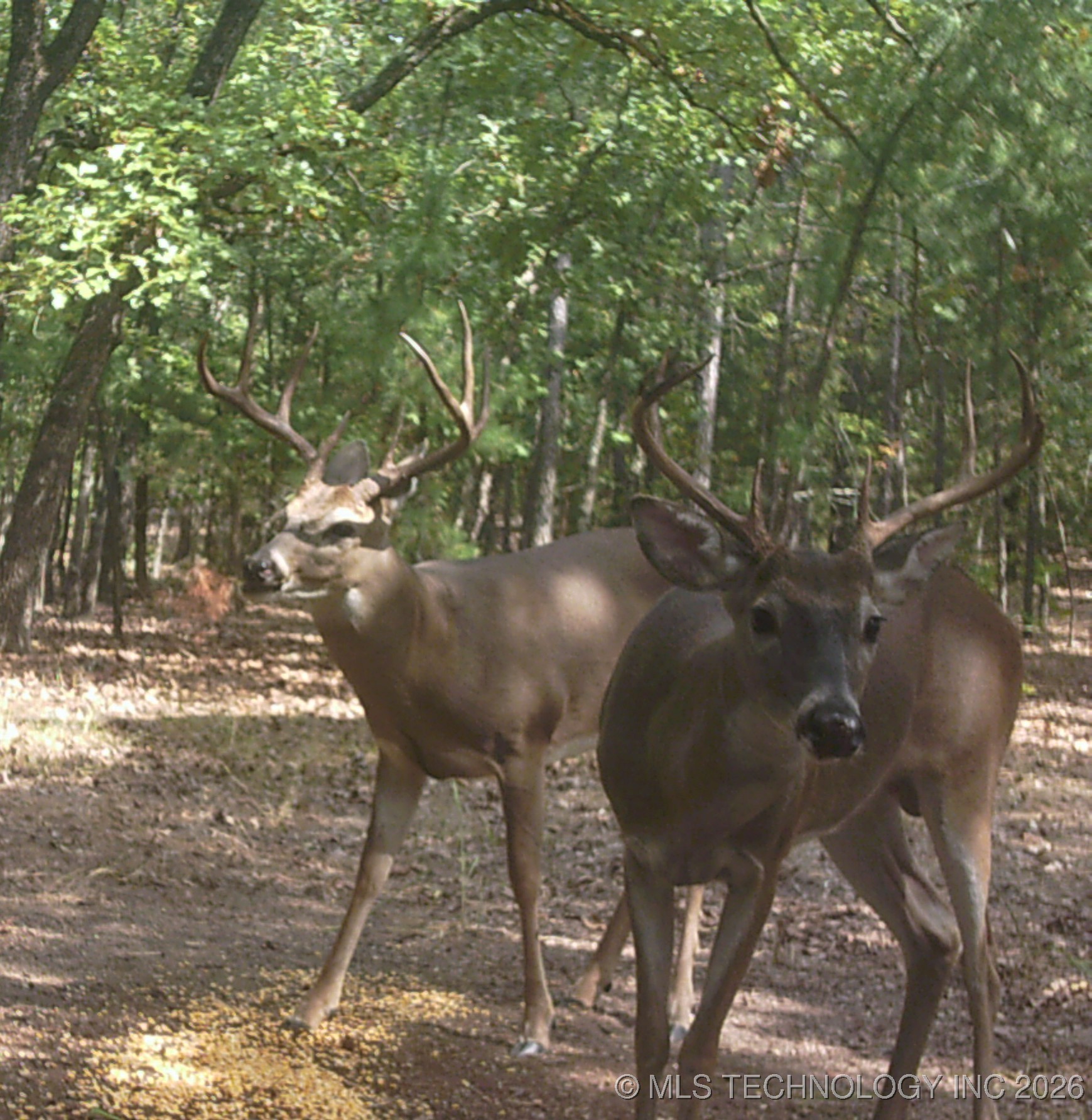 187602 N 4138 Road Property Photo 58