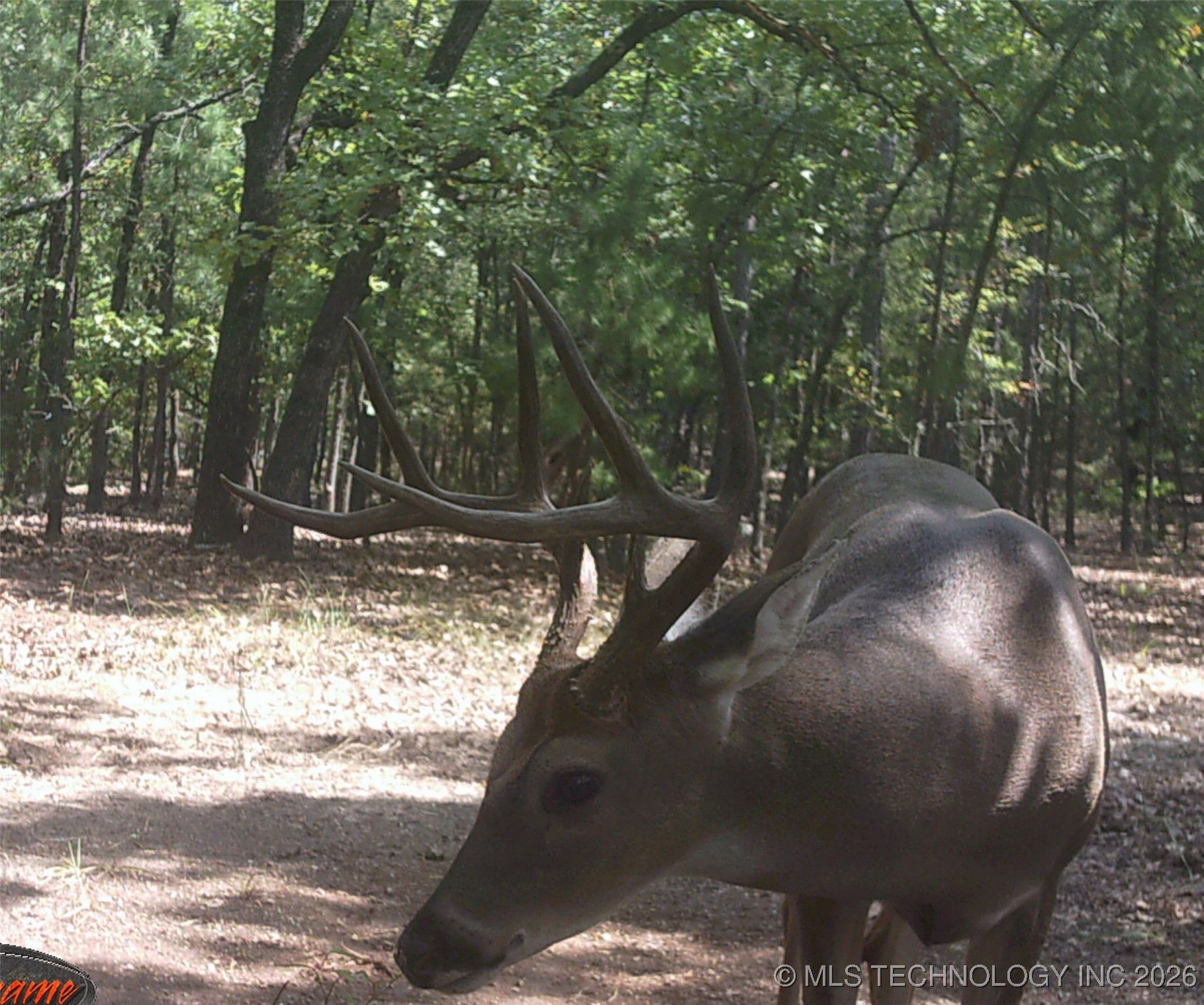 187602 N 4138 Road Property Photo 59