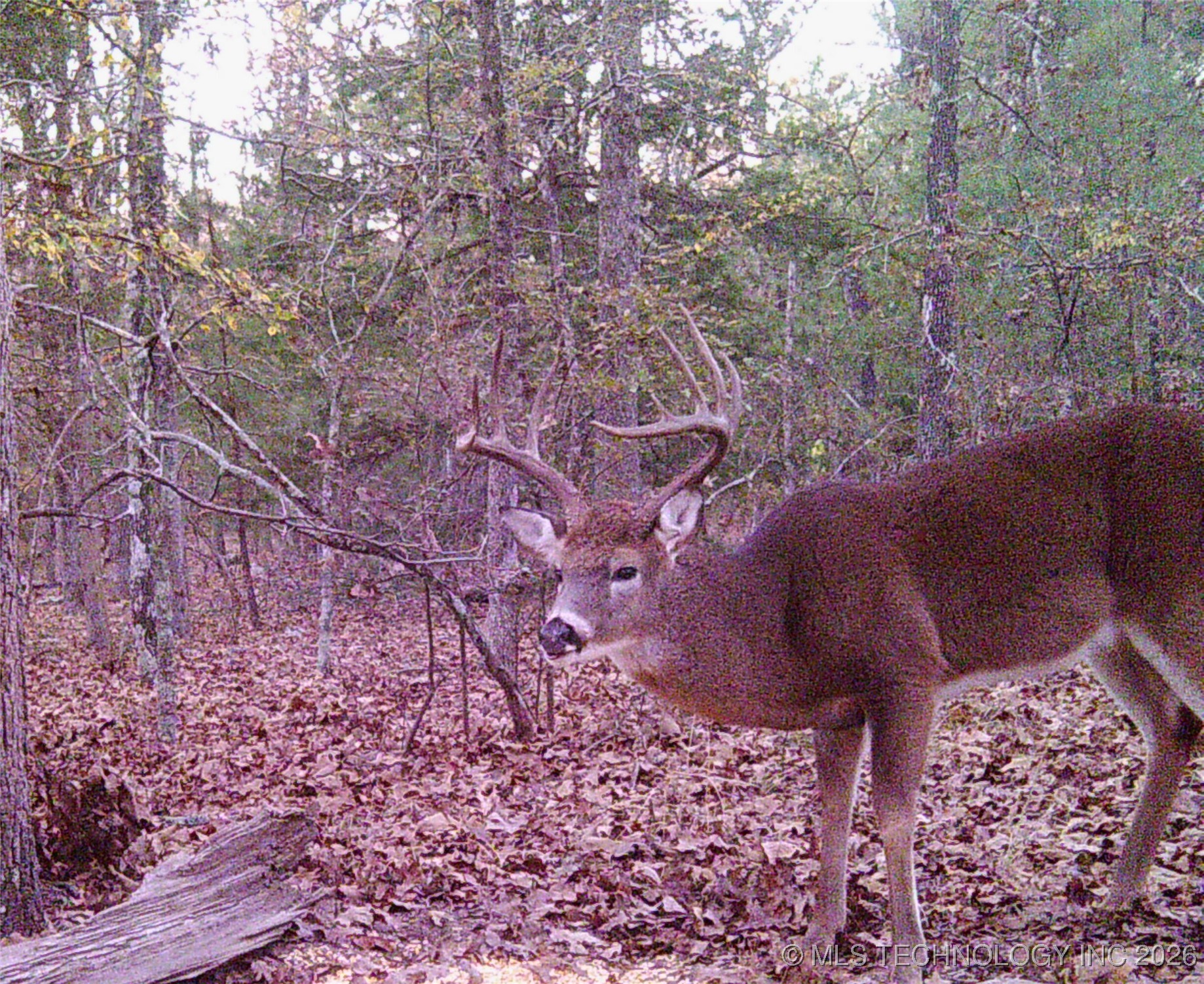187602 N 4138 Road Property Photo 60