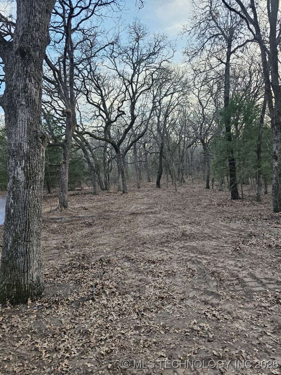 11690 Lovers Lane Property Photo 22