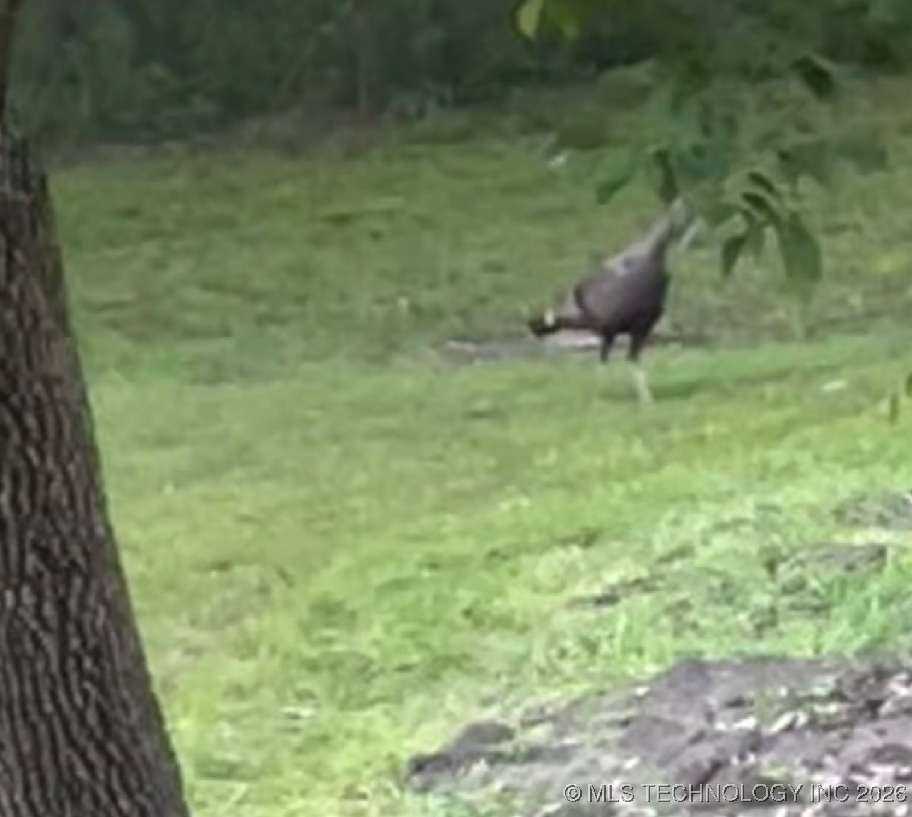 1701 N Hopi Street Property Photo 72