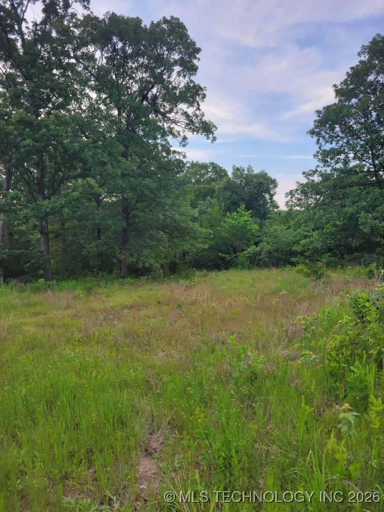 140 Gaines Creek Property Photo 3