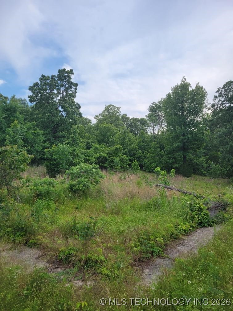 140 Gaines Creek Property Photo 4