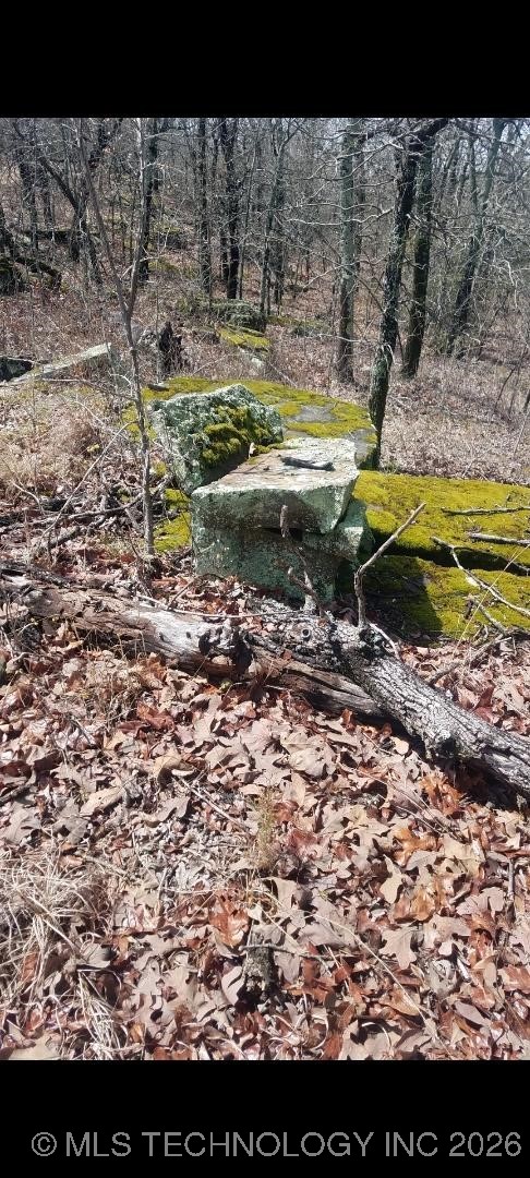 140 Gaines Creek Property Photo 5