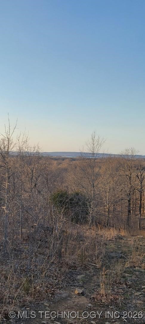 140 Gaines Creek Property Photo 8