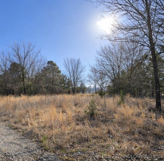 Texanna Property Photo 5