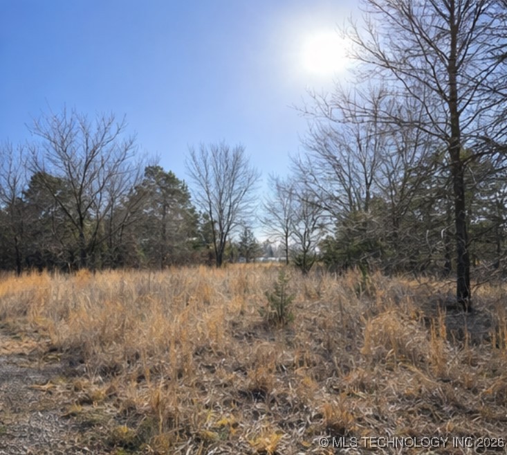 Texanna Property Photo 6