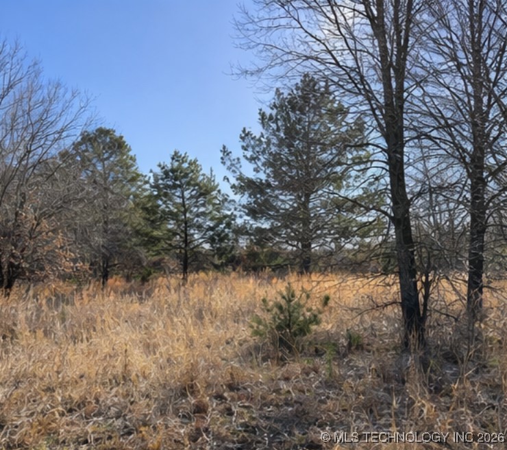 Texanna Property Photo 7