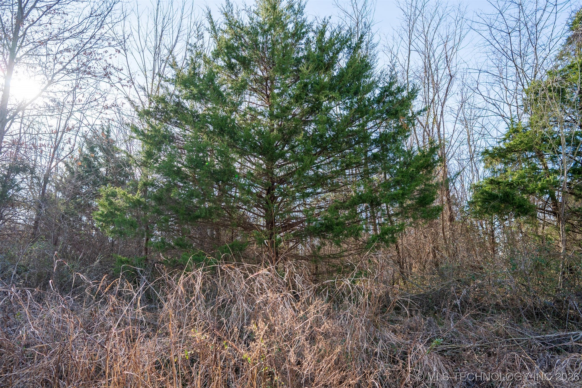 12 E 151st Street S Property Photo 63