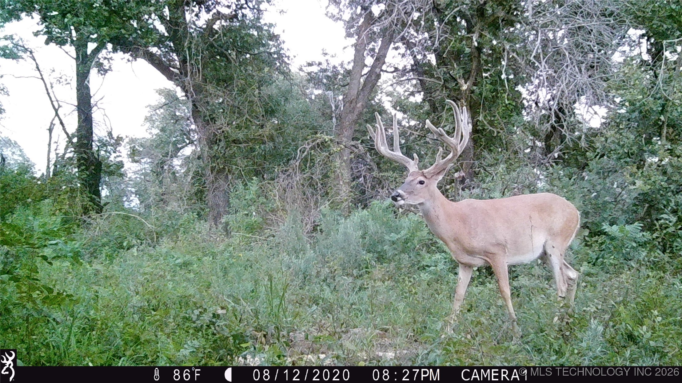 19001 W 41st Street Property Photo 79