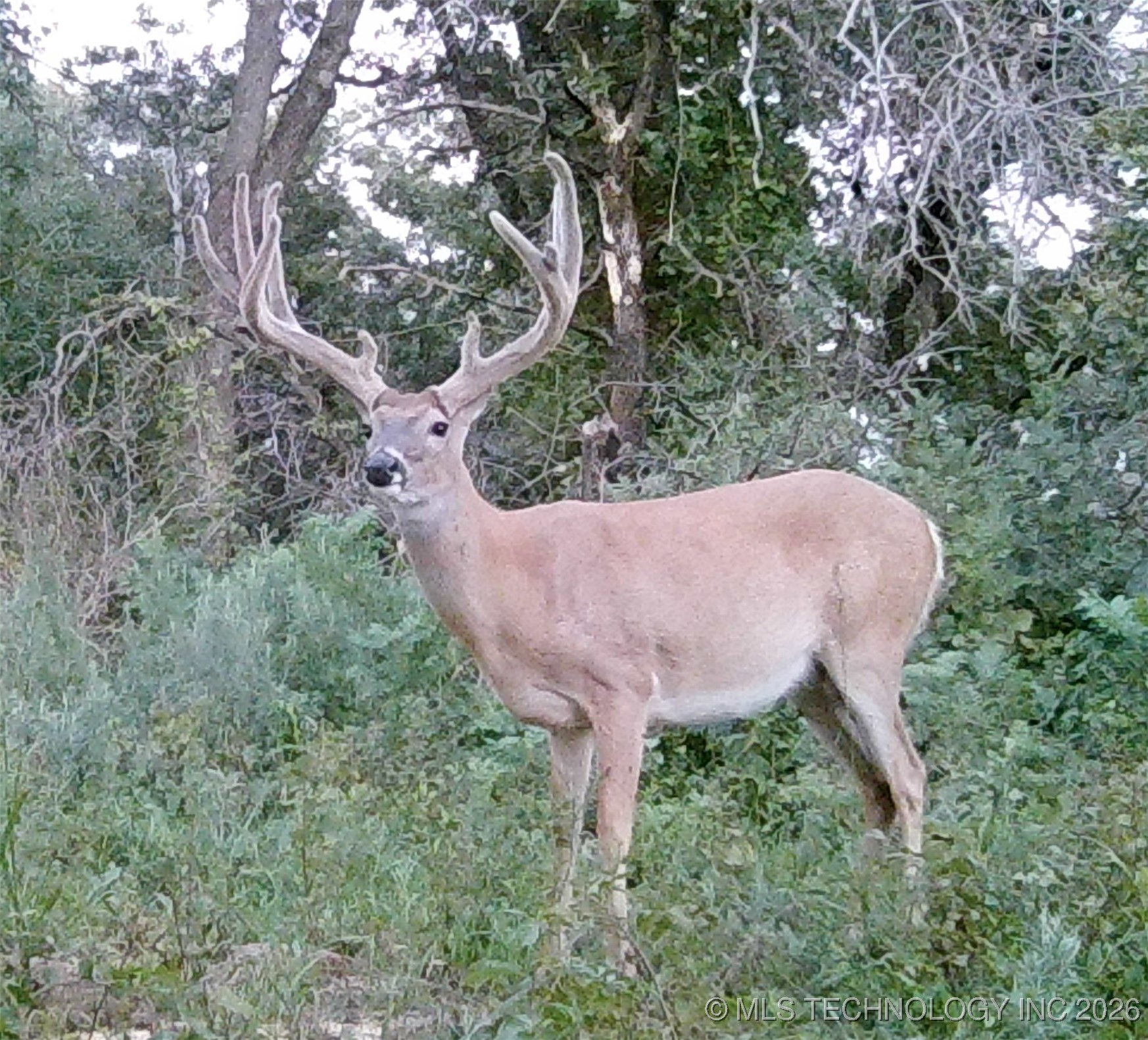 19001 W 41st Street Property Photo 81