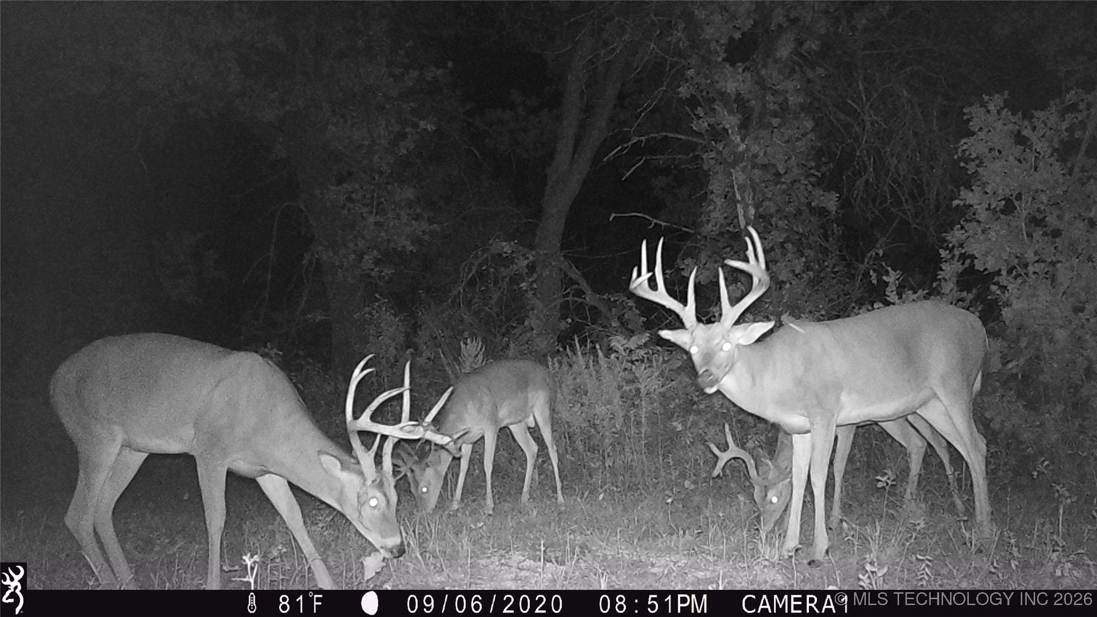 19001 W 41st Street Property Photo 82