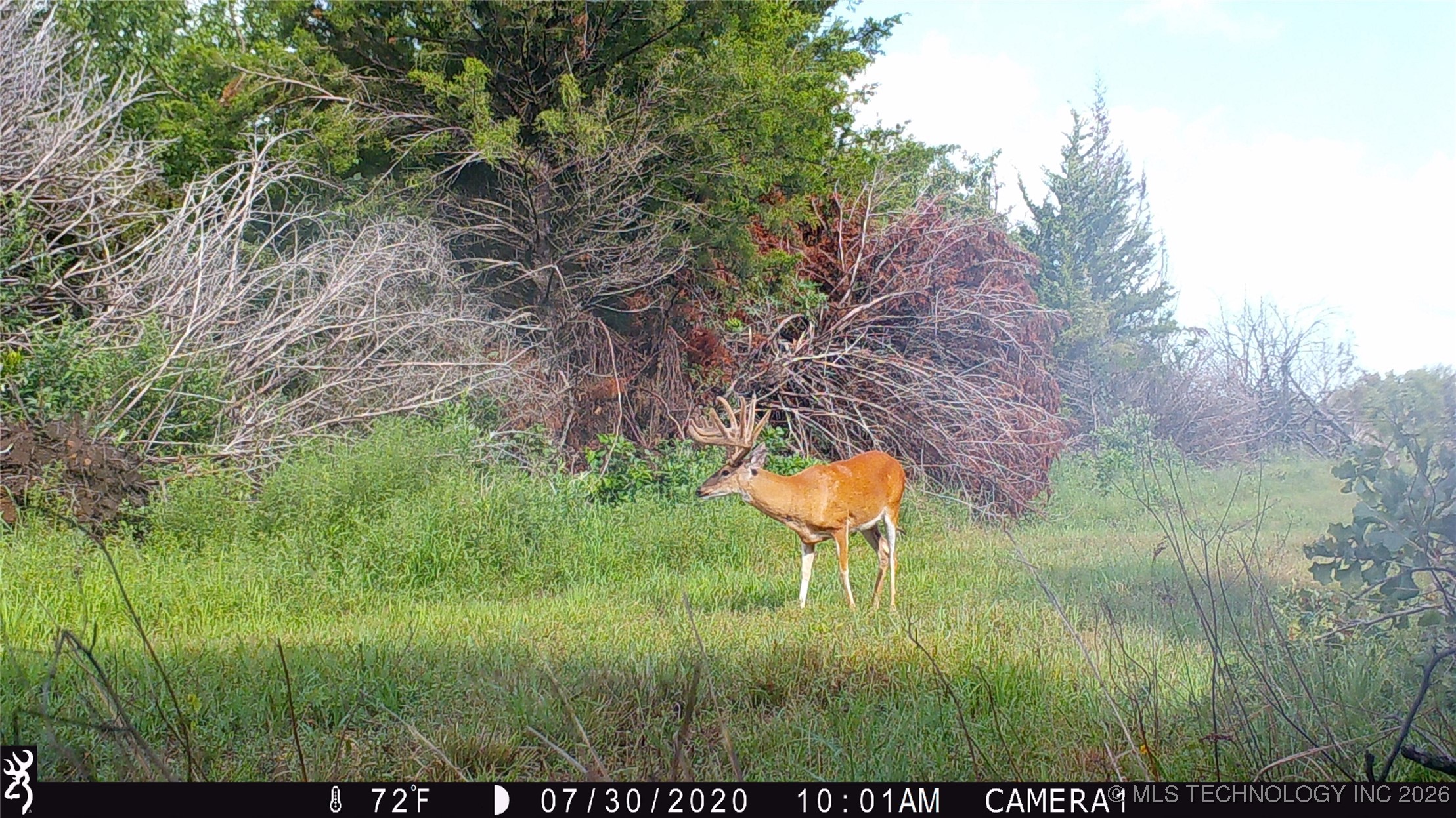 19001 W 41st Street Property Photo 83