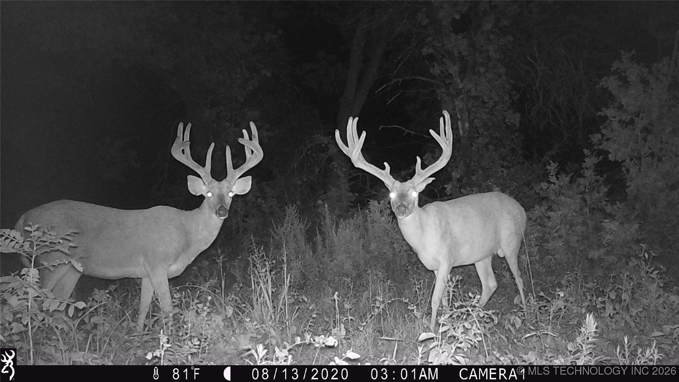 19001 W 41st Street Property Photo 84