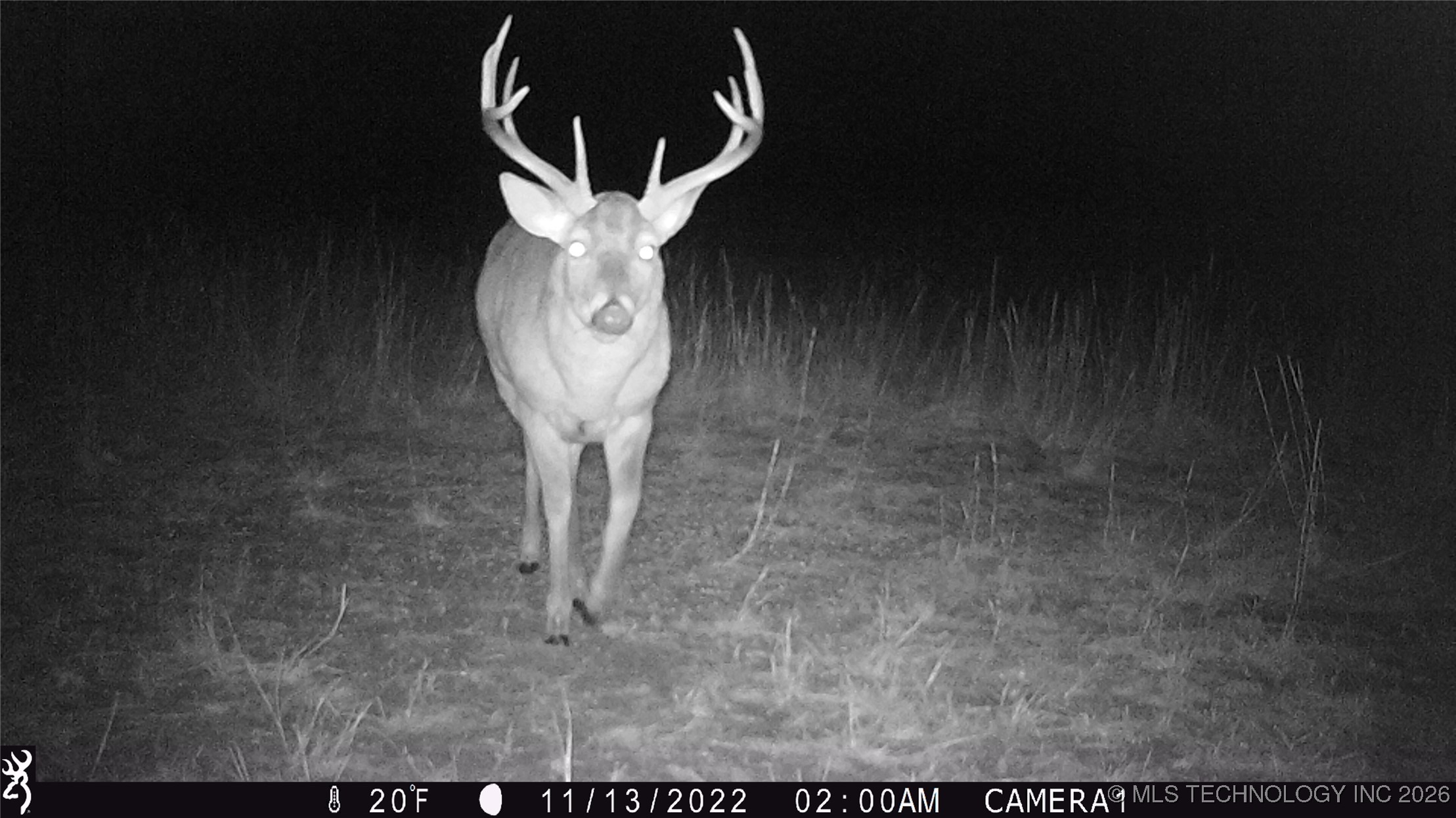 19001 W 41st Street Property Photo 85