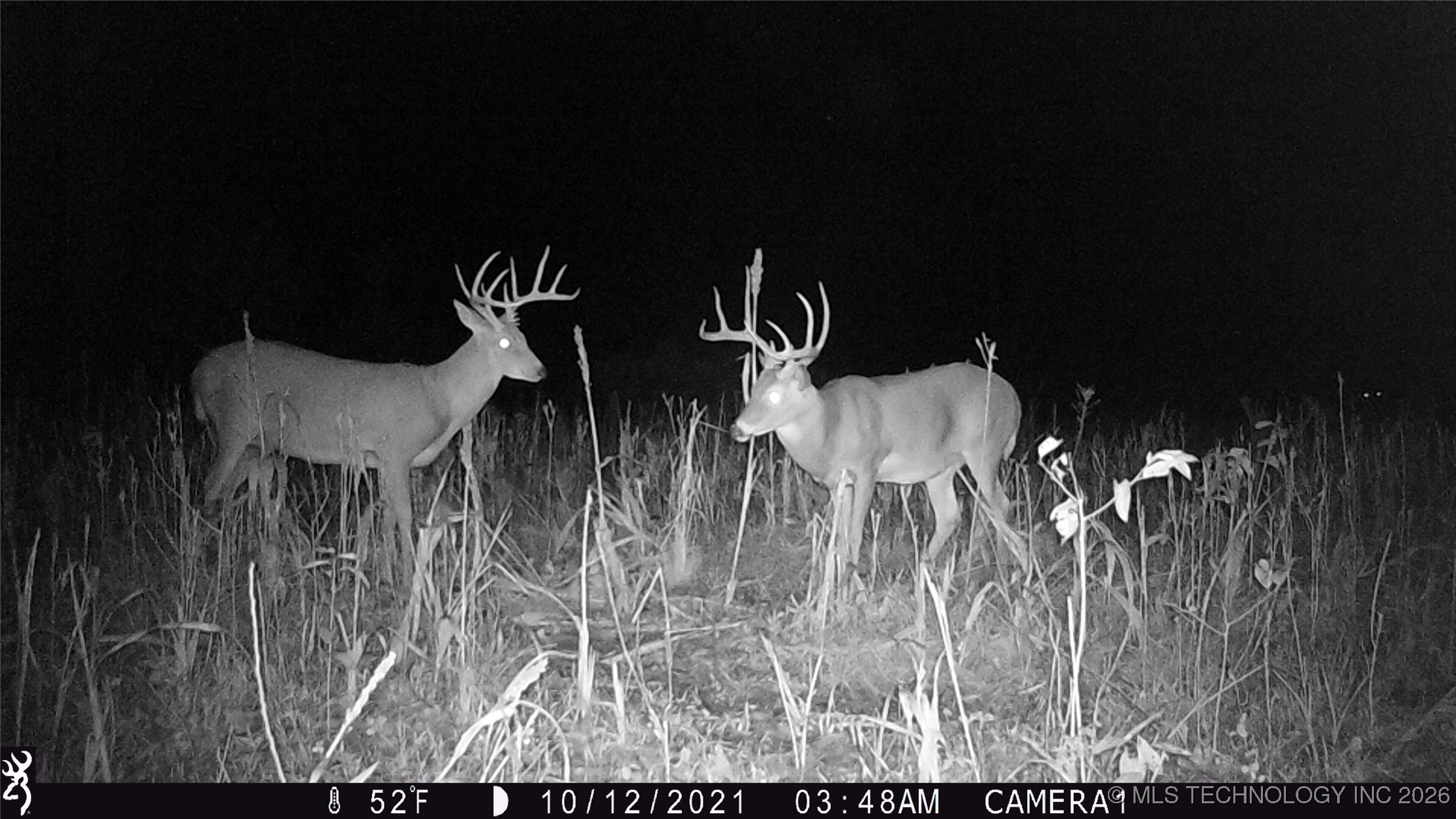 19001 W 41st Street Property Photo 87