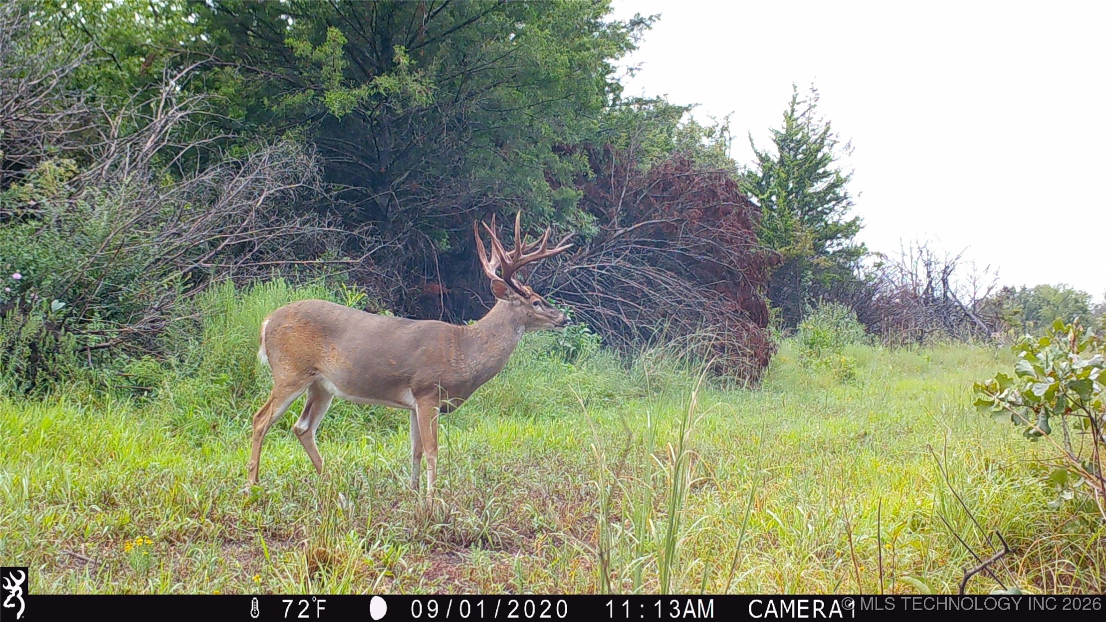 19001 W 41st Street Property Photo 88