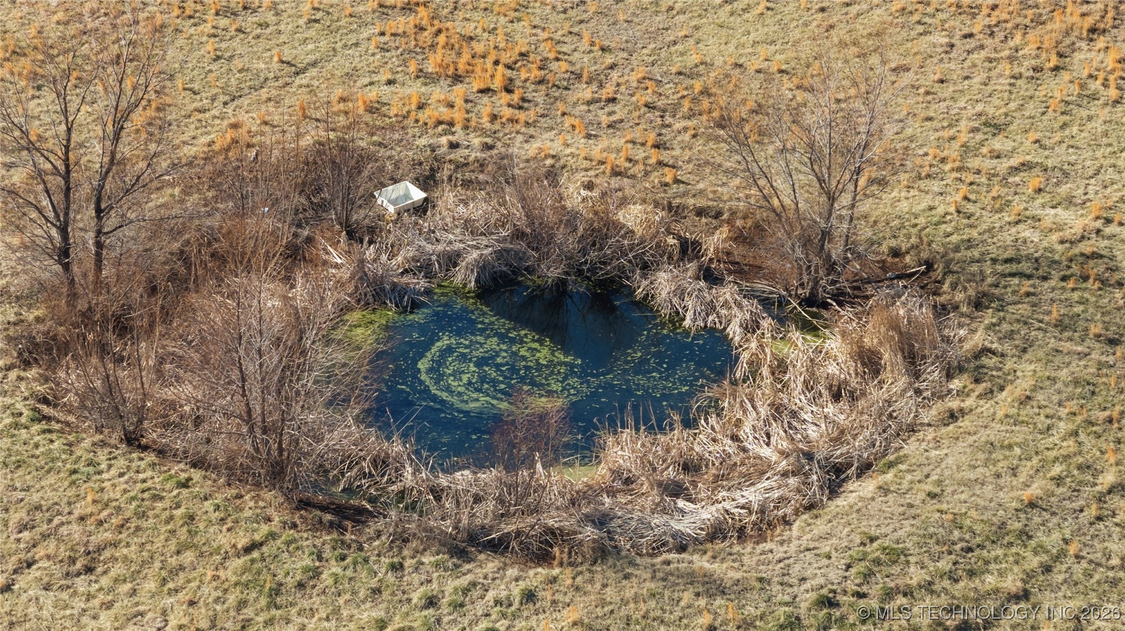 8468 Happy Camp Road Property Photo 9