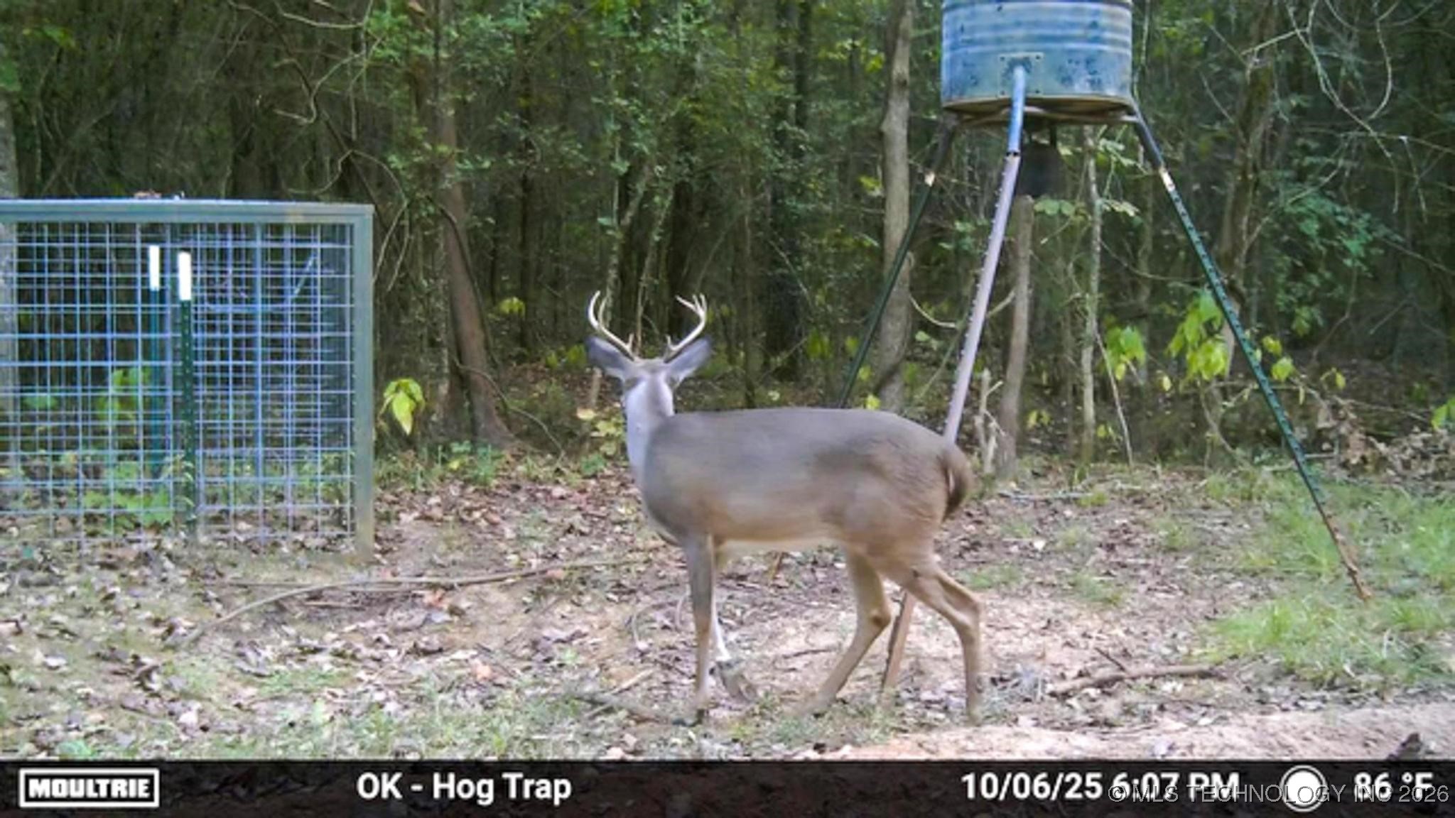 1552 Green Acres Road Property Photo 10