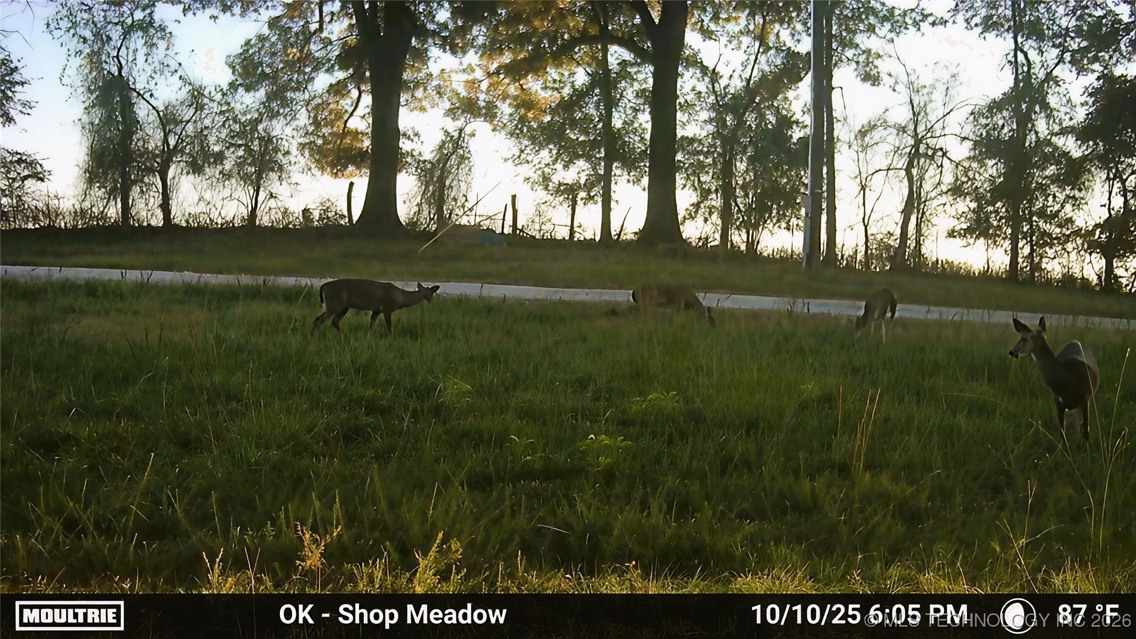 1552 Green Acres Road Property Photo 24