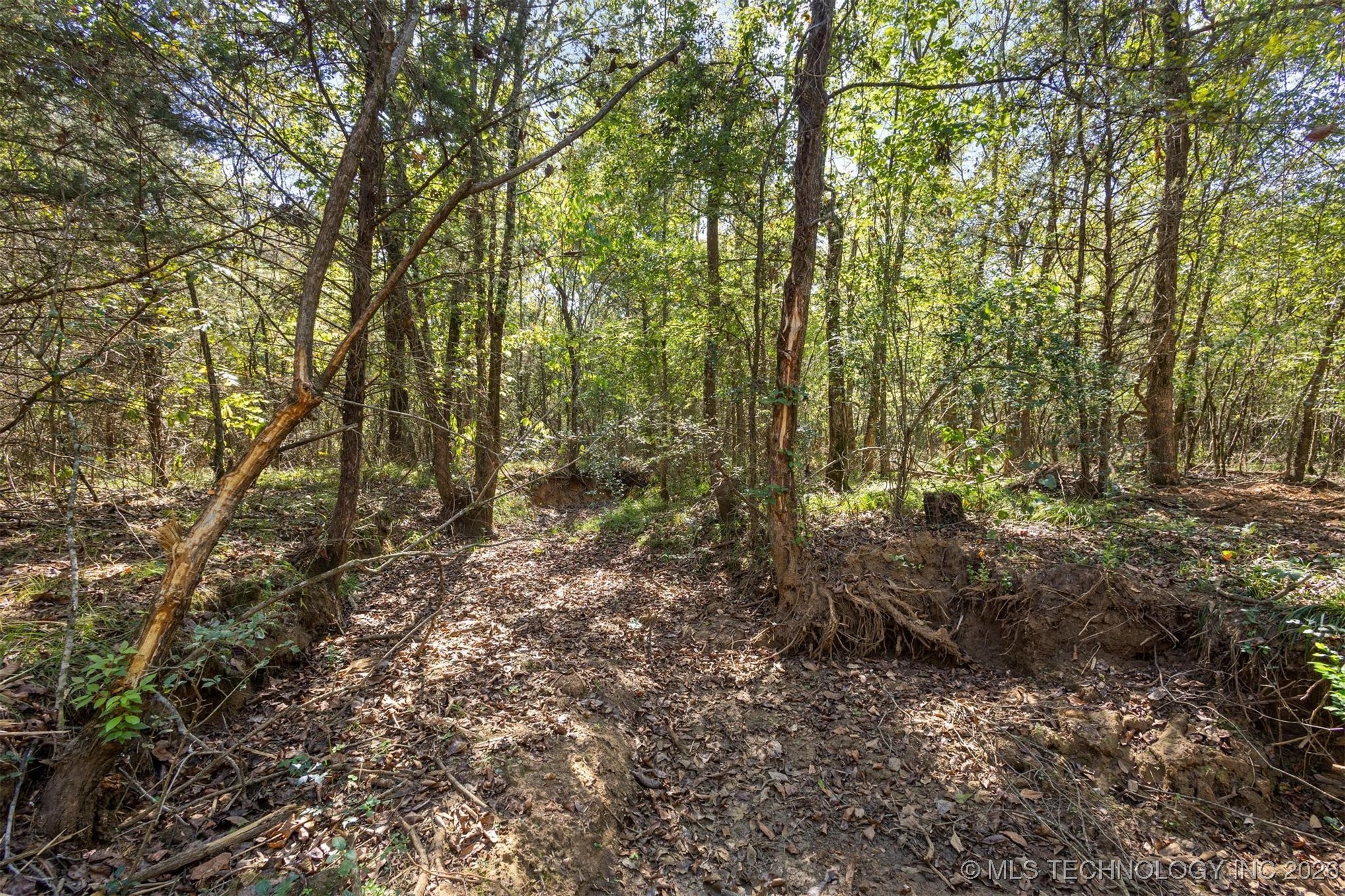 1552 Green Acres Road Property Photo 43