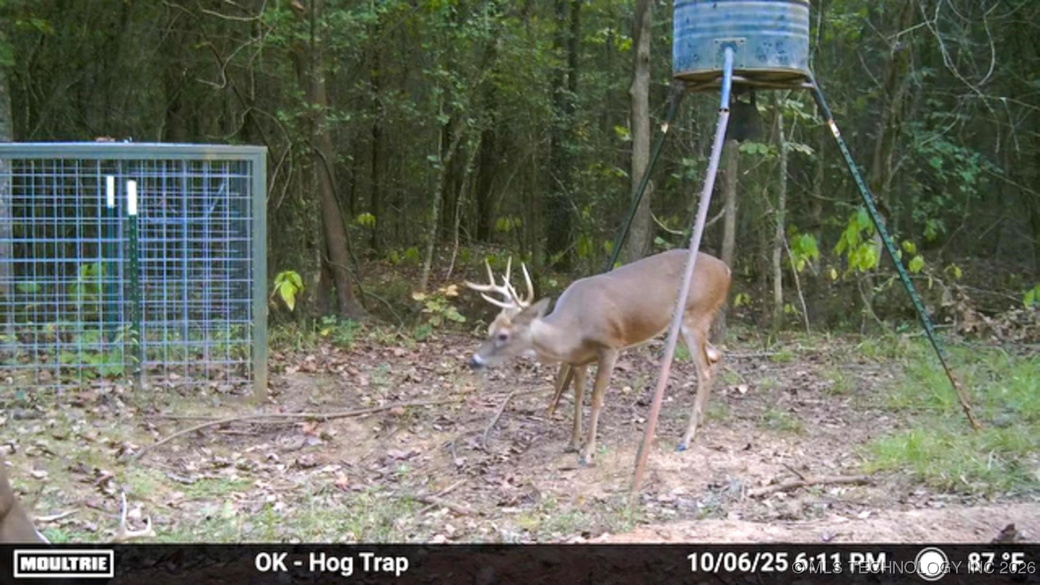 1552 Green Acres Road Property Photo 56