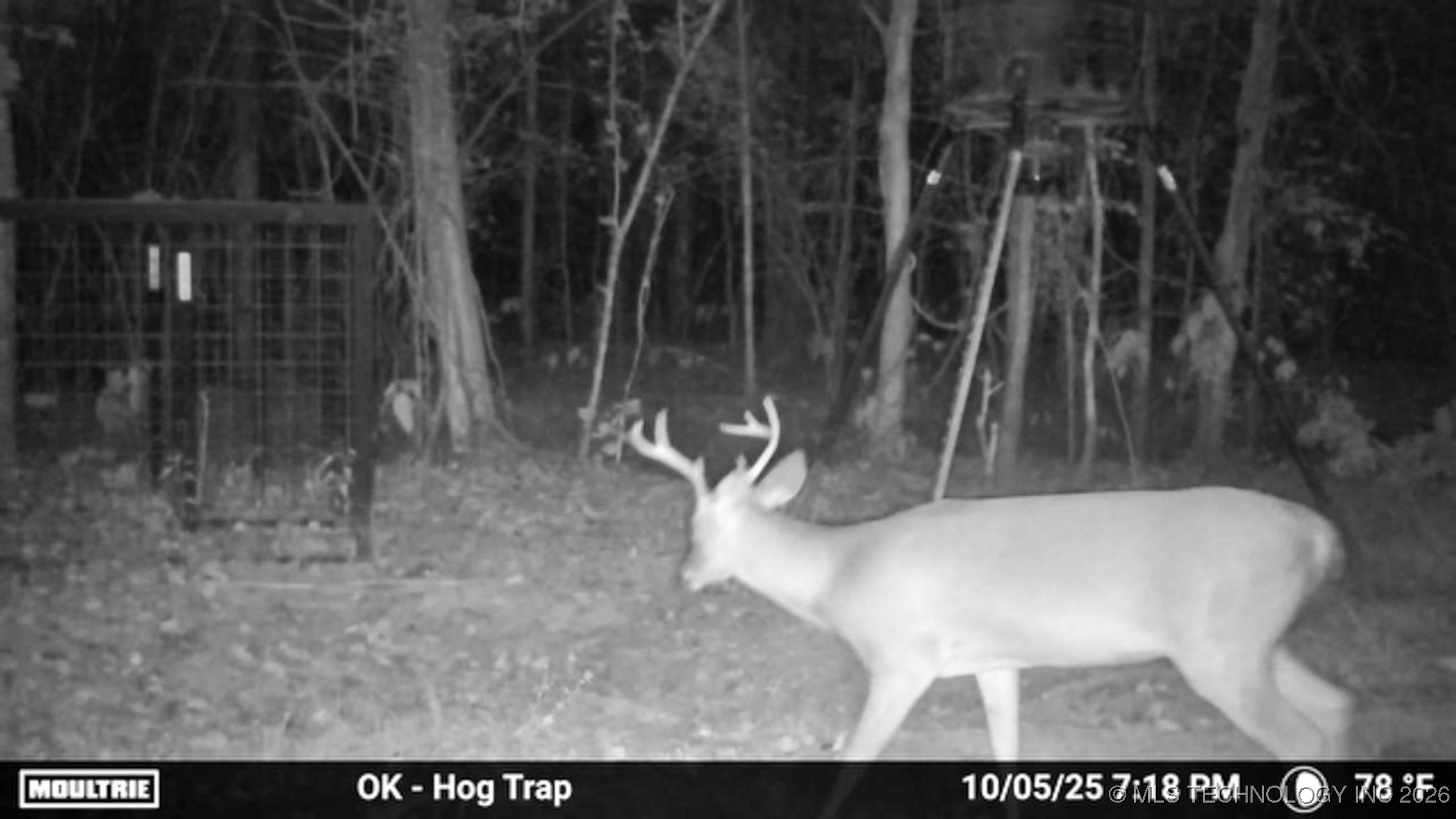 1552 Green Acres Road Property Photo 63