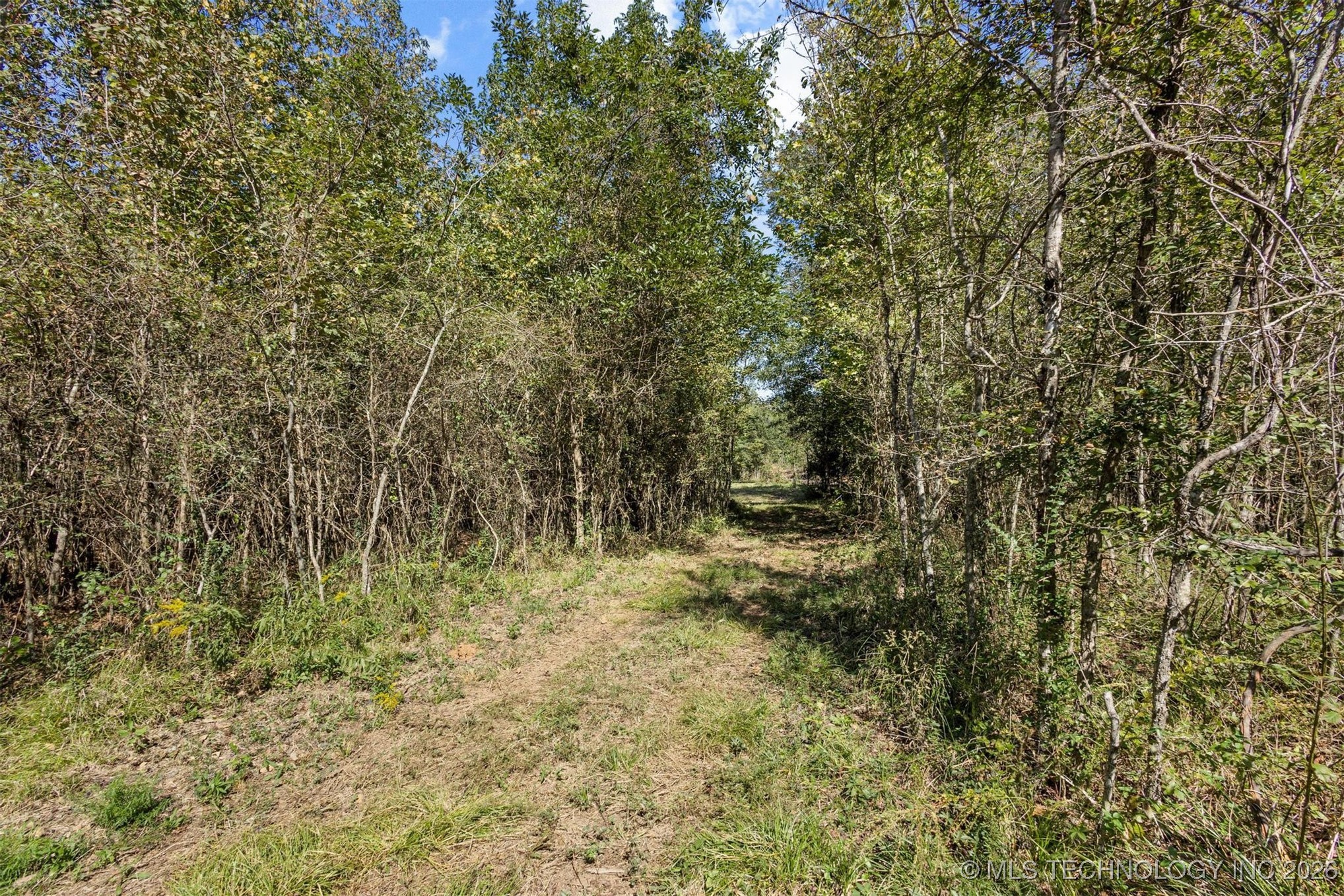 1552 Green Acres Road Property Photo 66