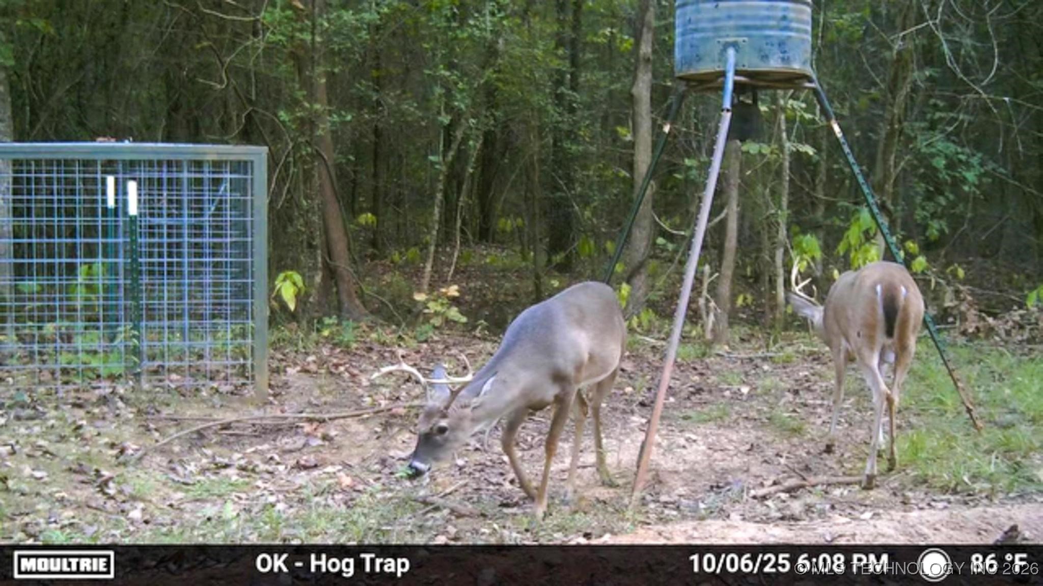 1552 Green Acres Road Property Photo 69