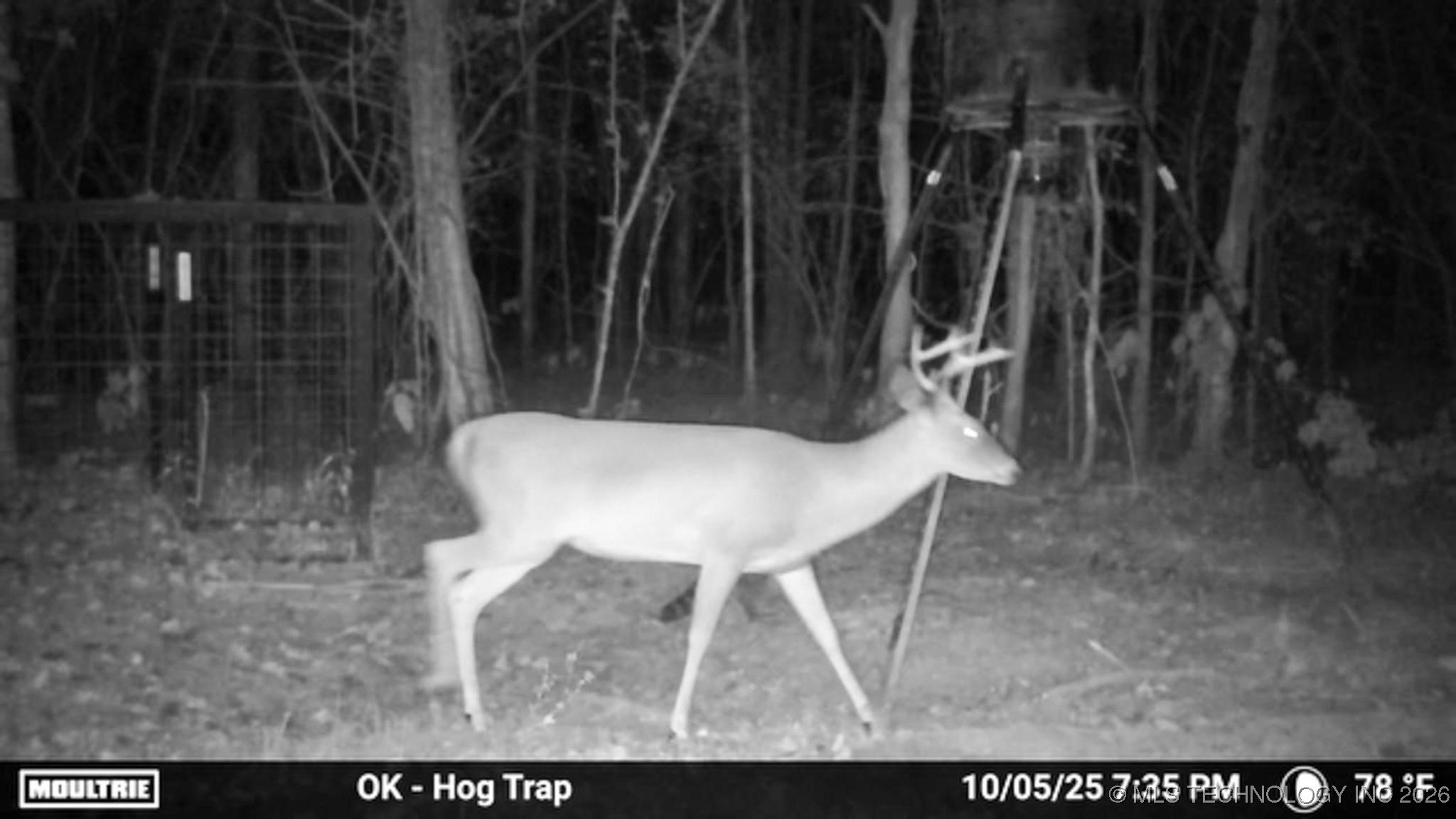 1552 Green Acres Road Property Photo 70