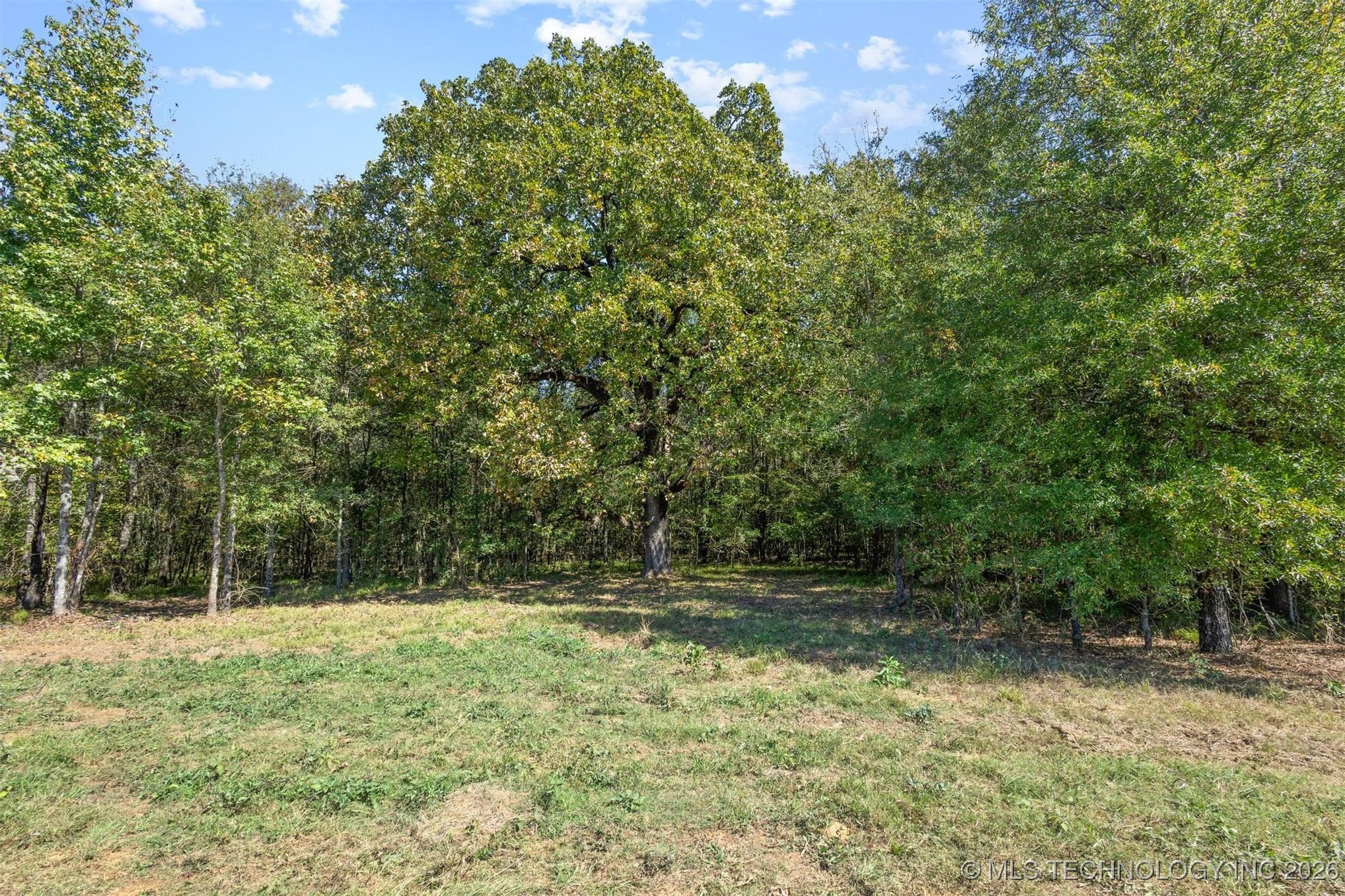 1552 Green Acres Road Property Photo 73