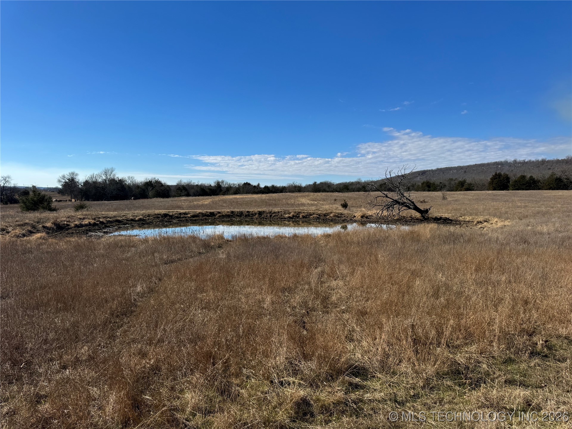 000 Hance Property Photo 6