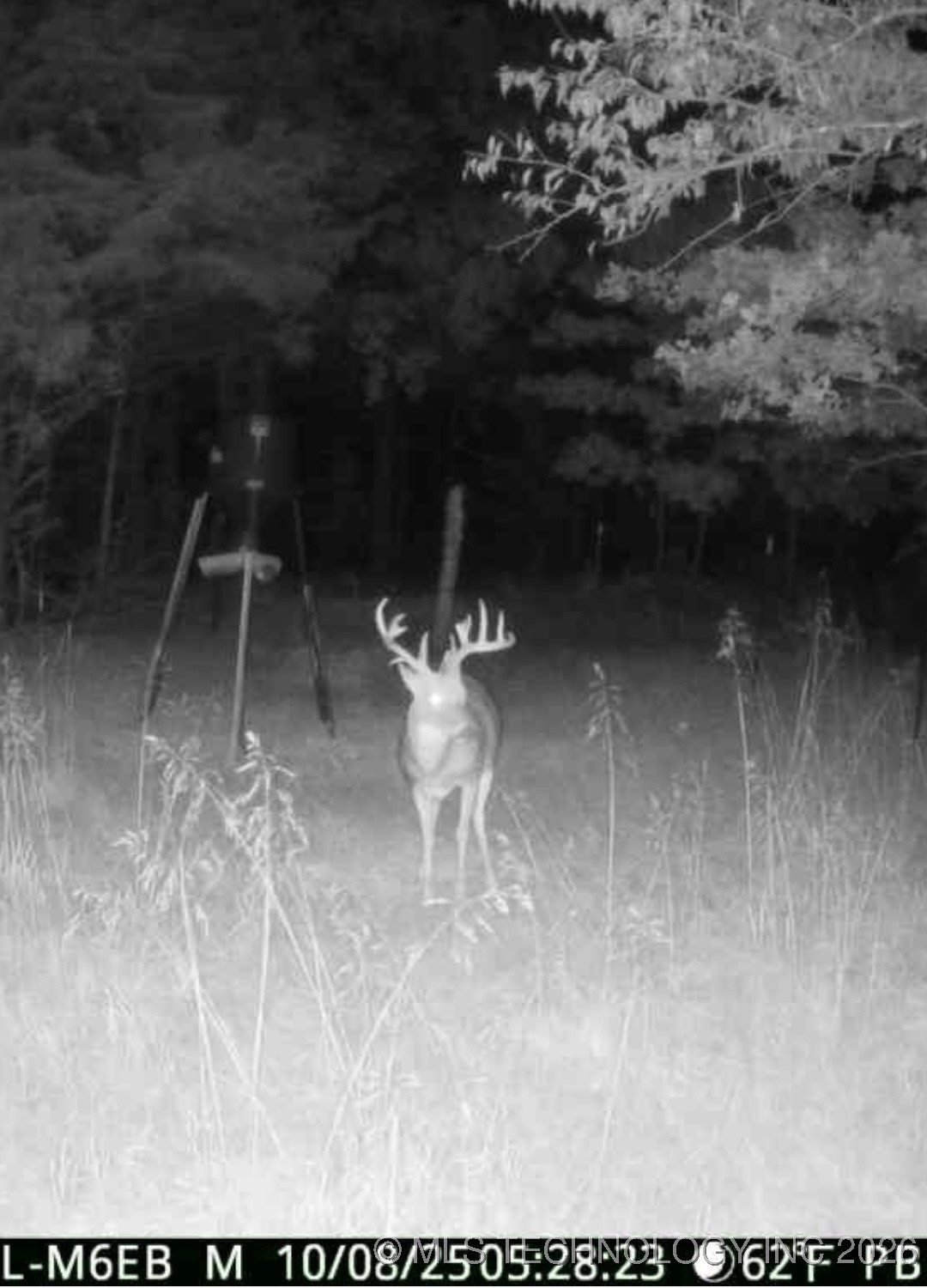 000 Hance Property Photo 17