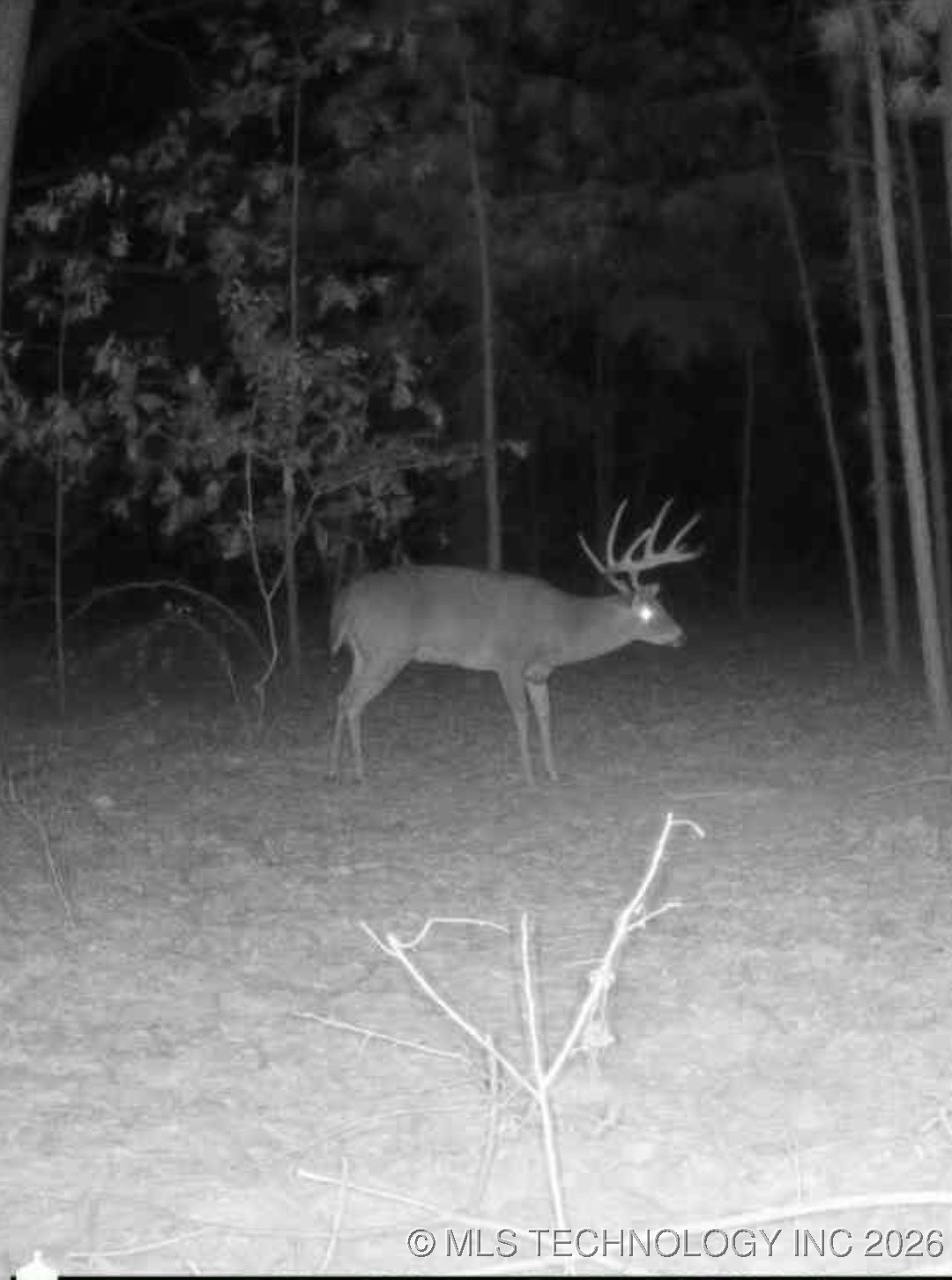 000 Hance Property Photo 18