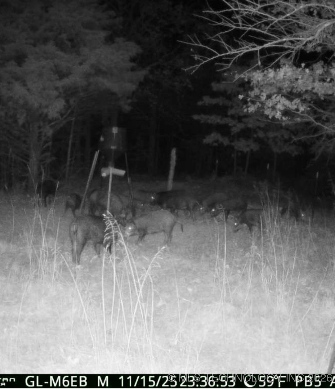 000 Hance Property Photo 19