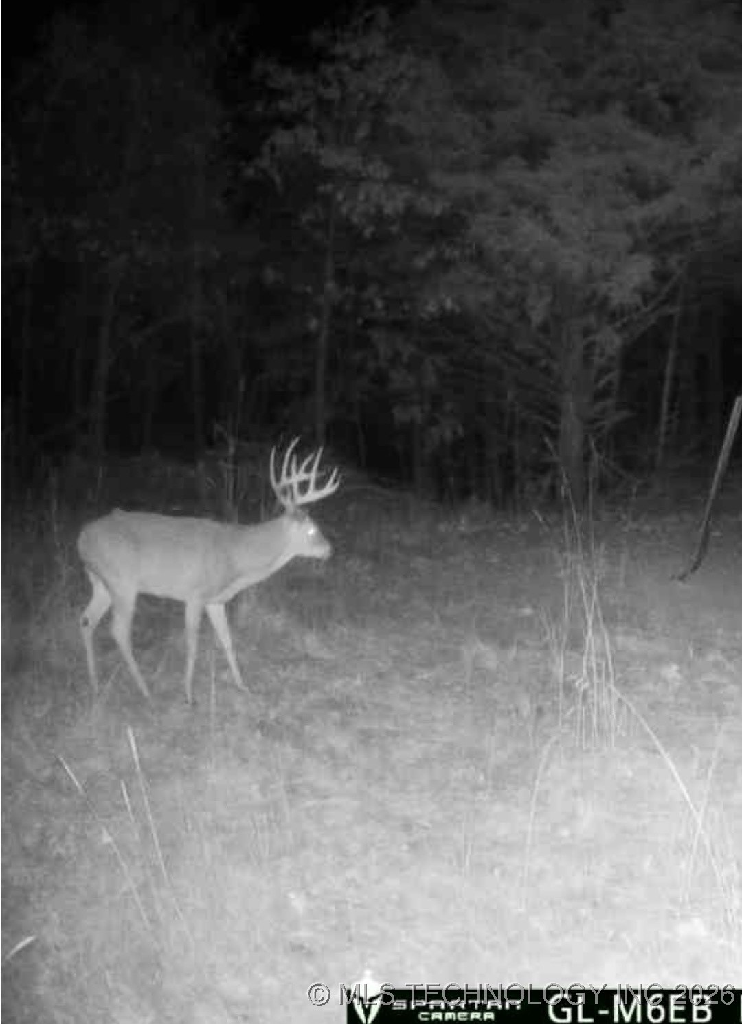 000 Hance Property Photo 20